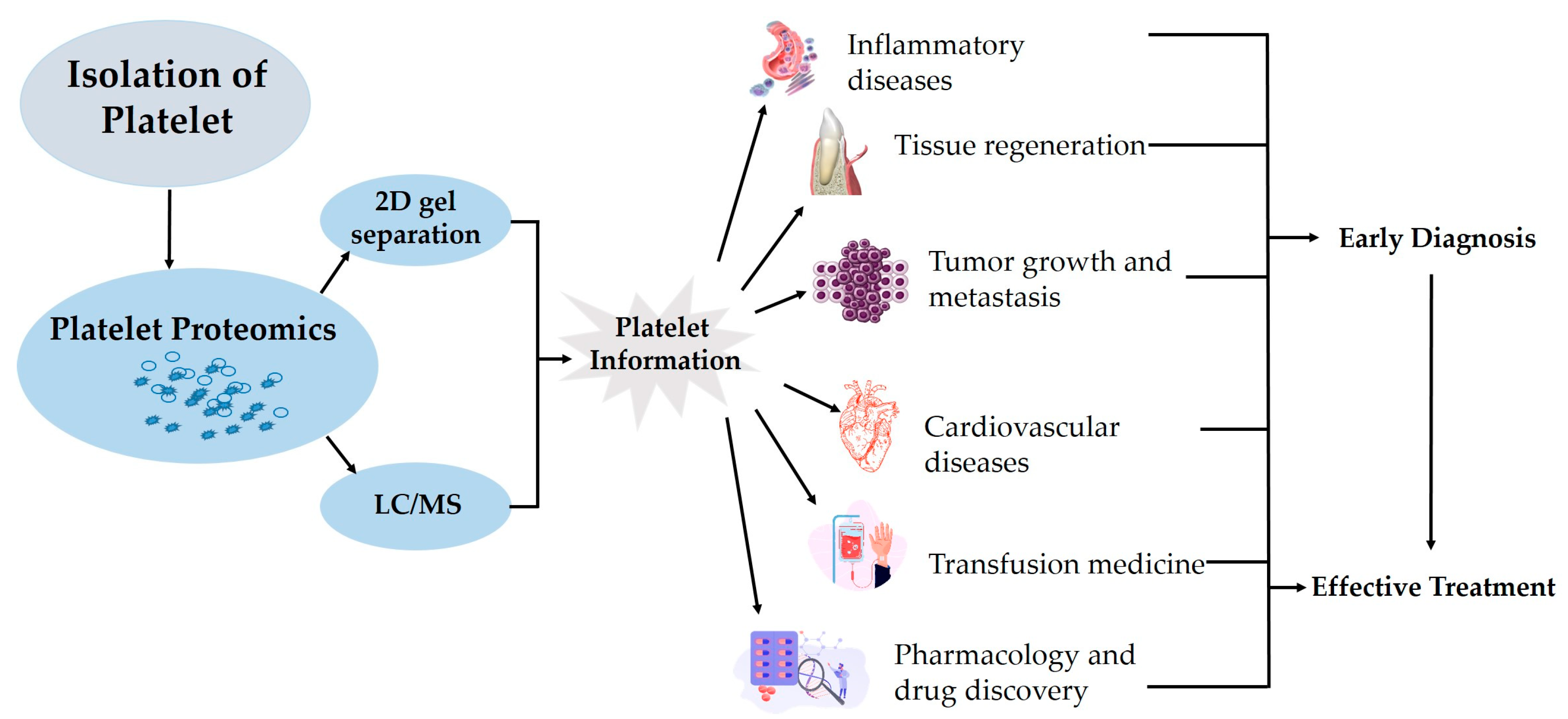 Biomedicines 12 00585 g002 Biomedicines 12 00585 g002