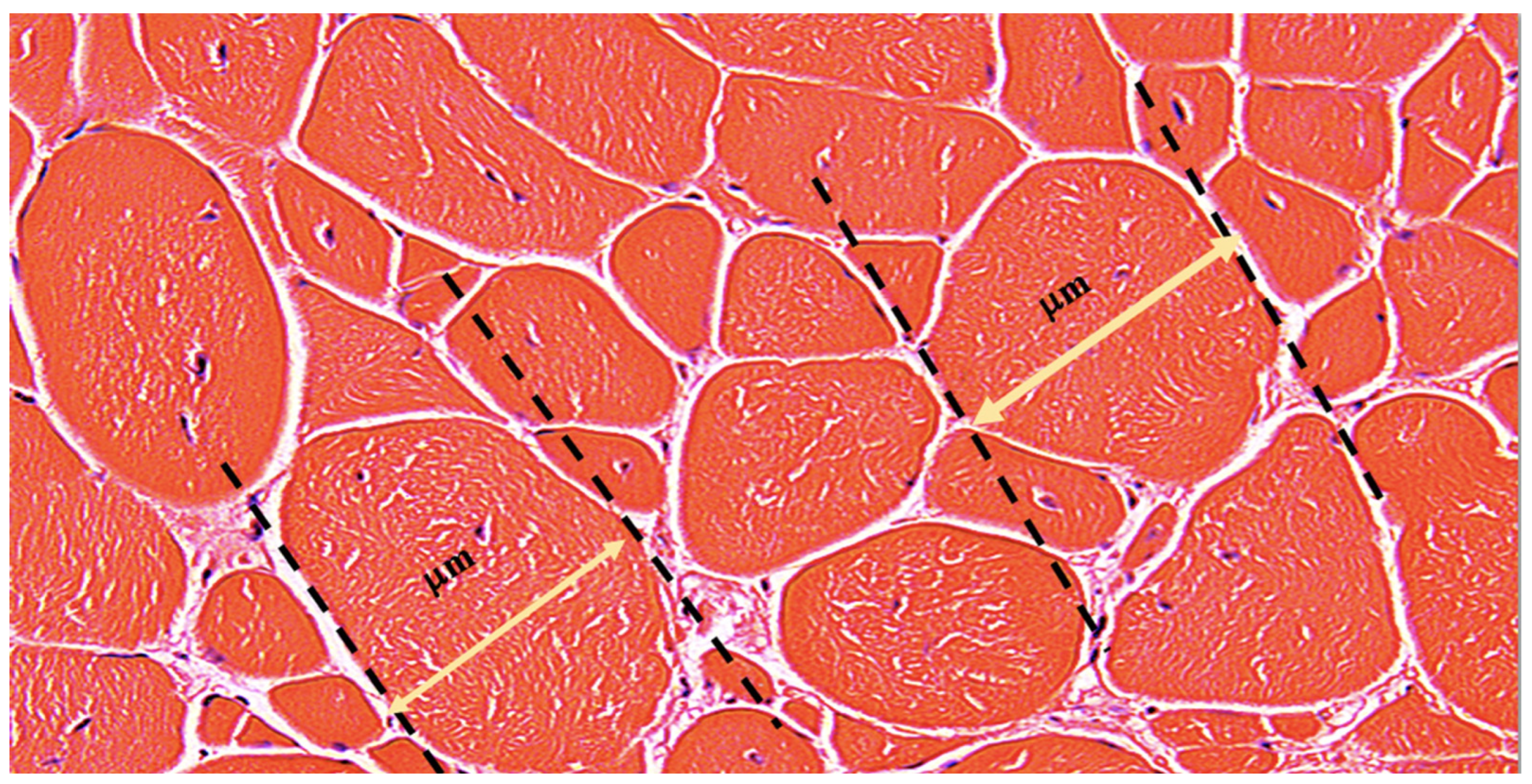 Biomedicines 12 00586 g001 Biomedicines 12 00586 g001