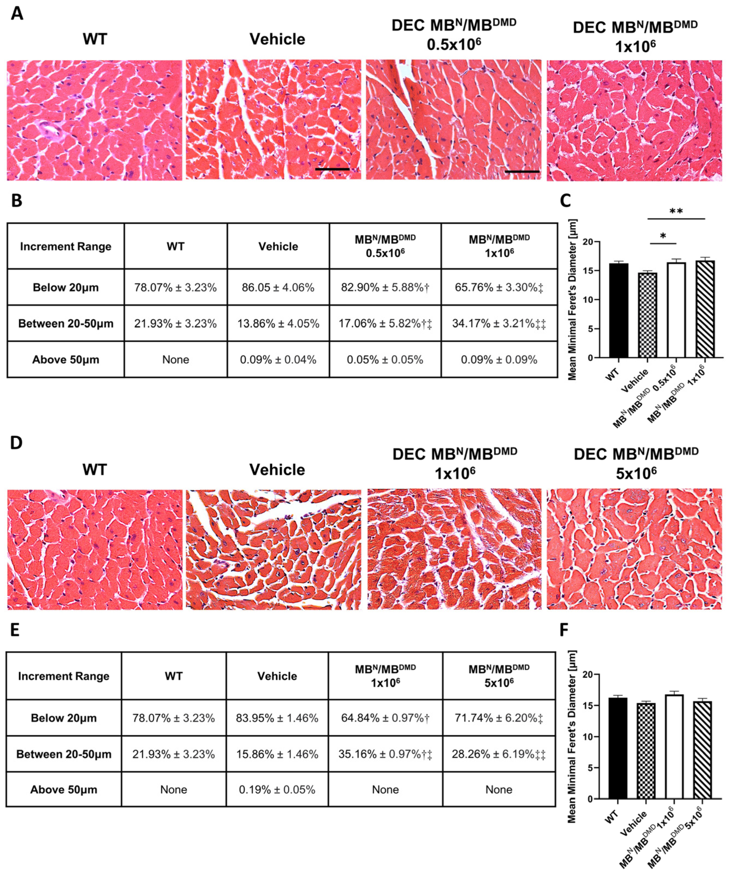 Biomedicines 12 00586 g002 Biomedicines 12 00586 g002