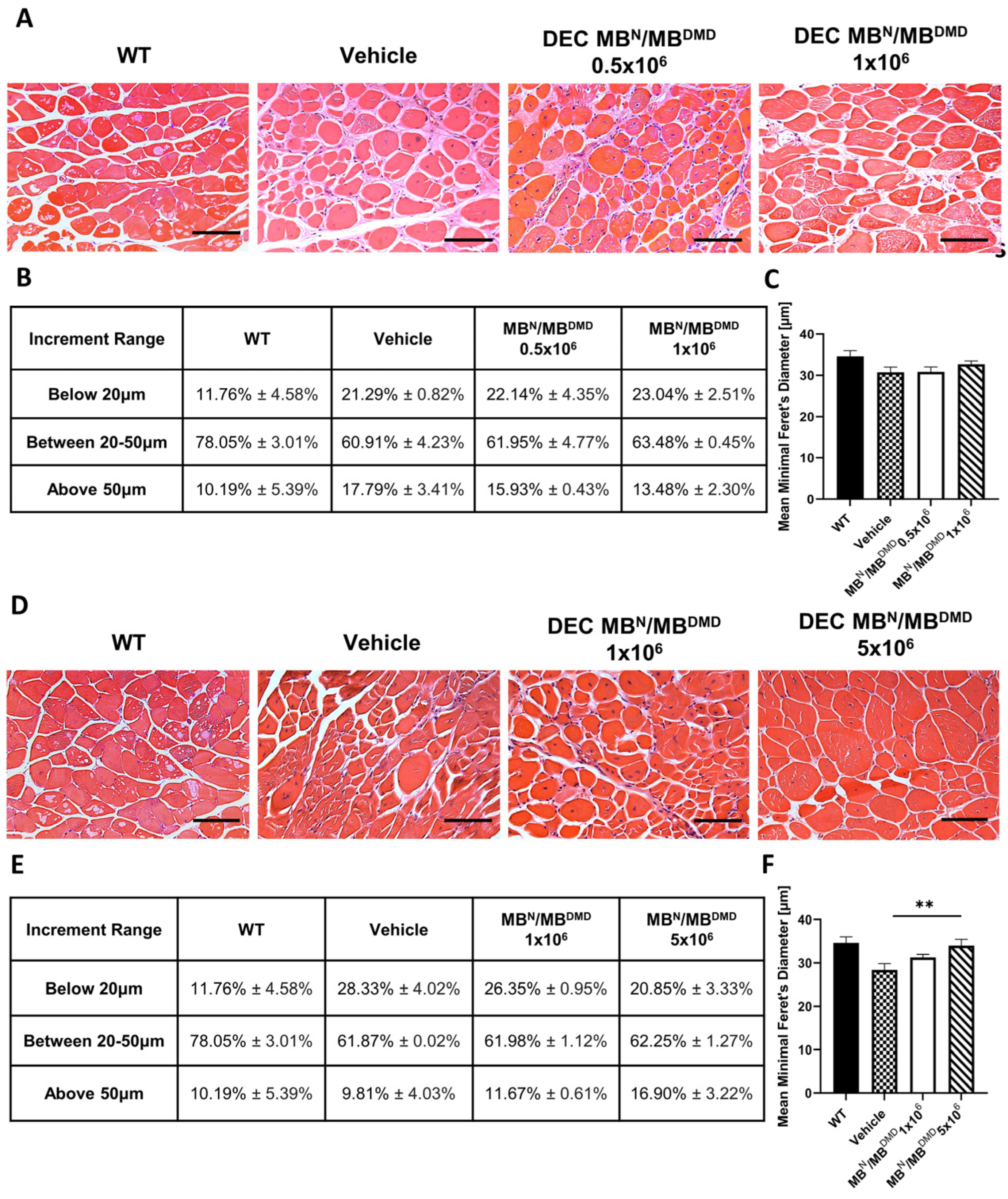 Biomedicines 12 00586 g004 Biomedicines 12 00586 g004