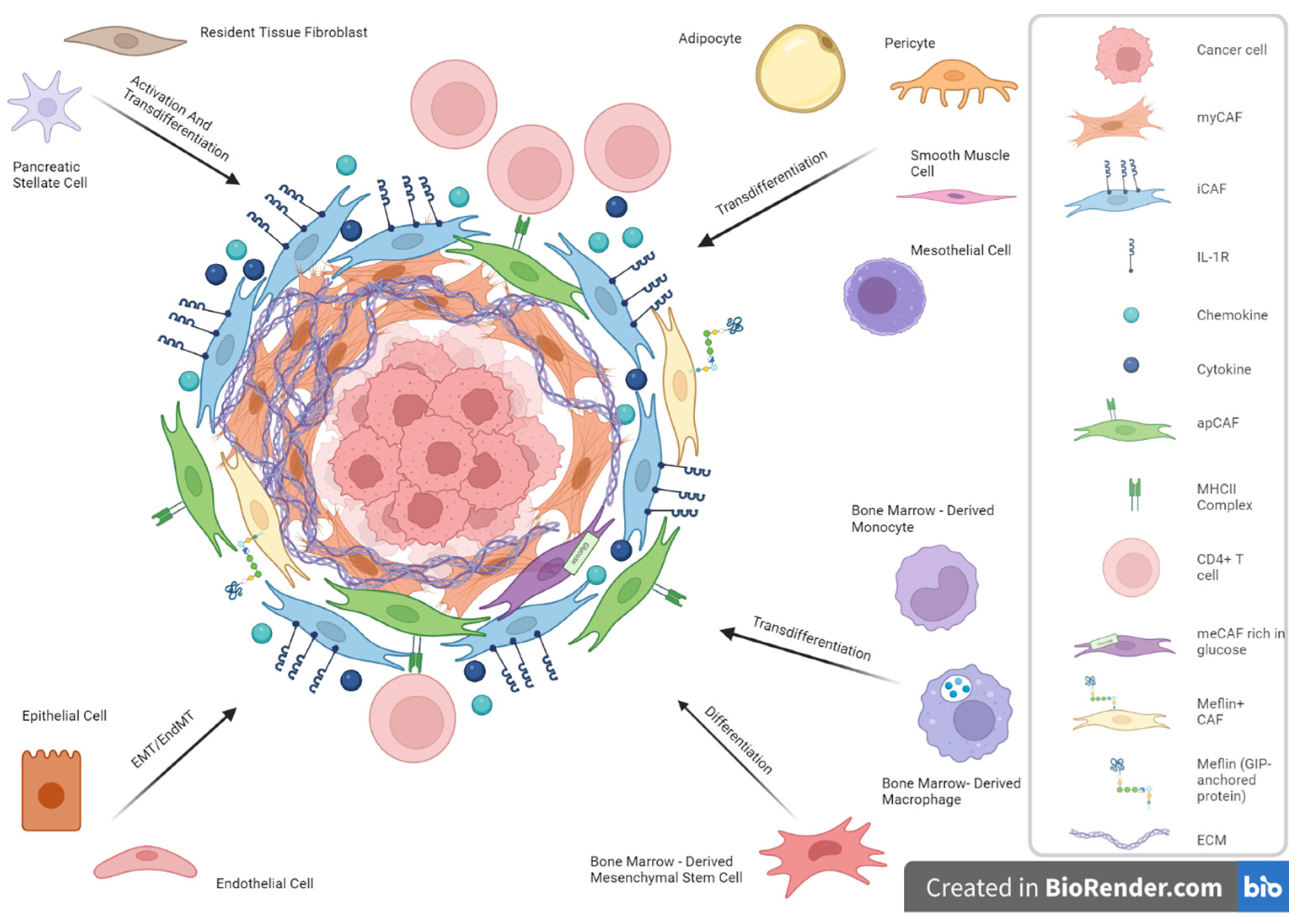 Biomedicines 12 00591 g001 Biomedicines 12 00591 g001