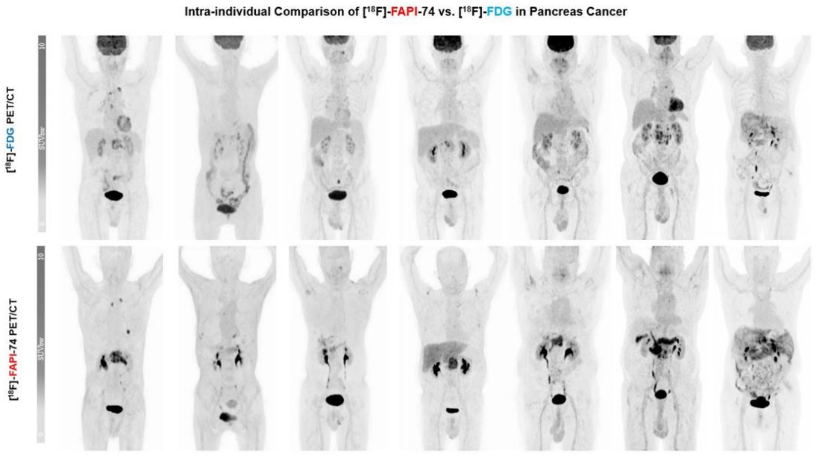 Biomedicines 12 00591 g002 Biomedicines 12 00591 g002