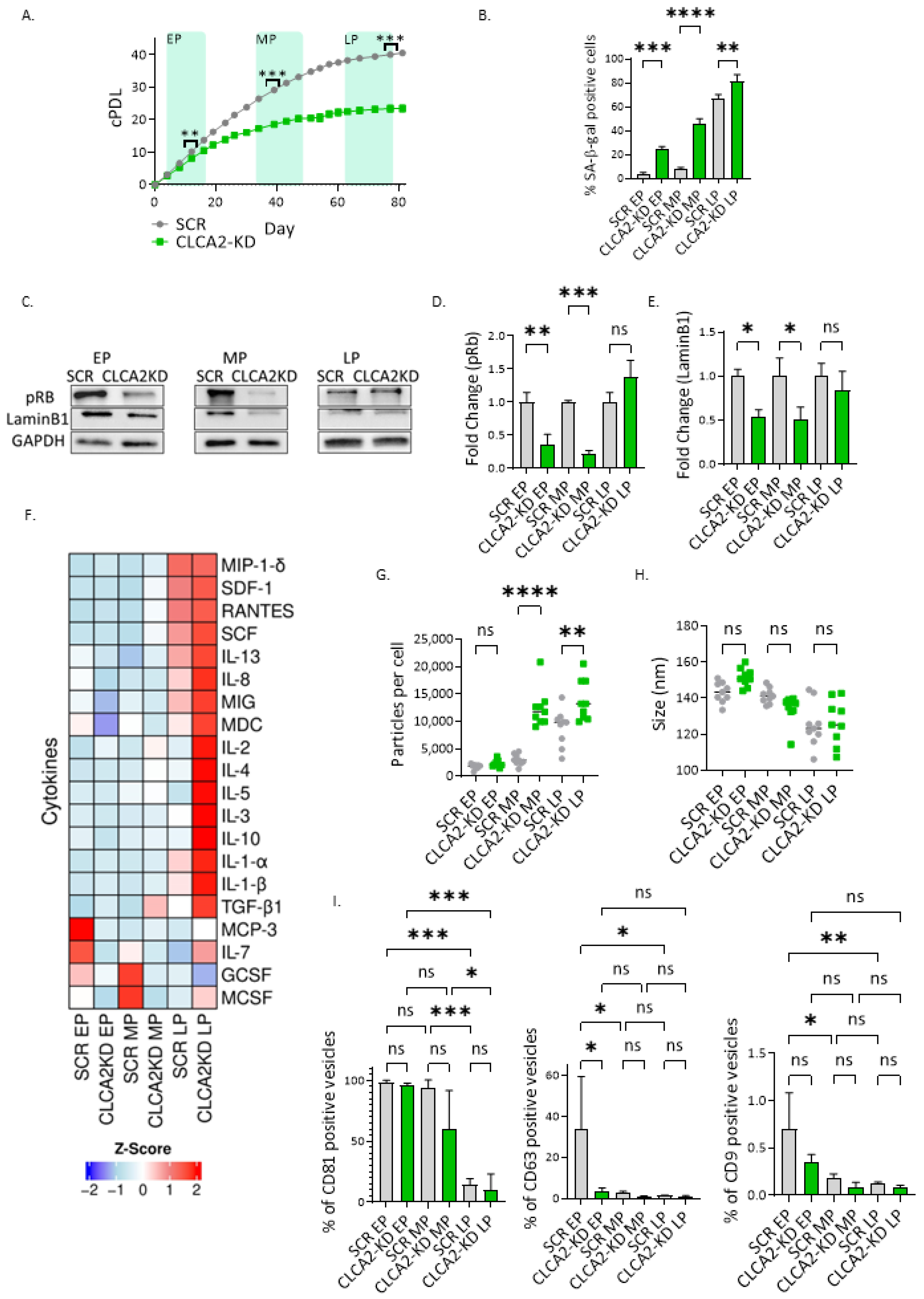 Biomedicines 12 00592 g002