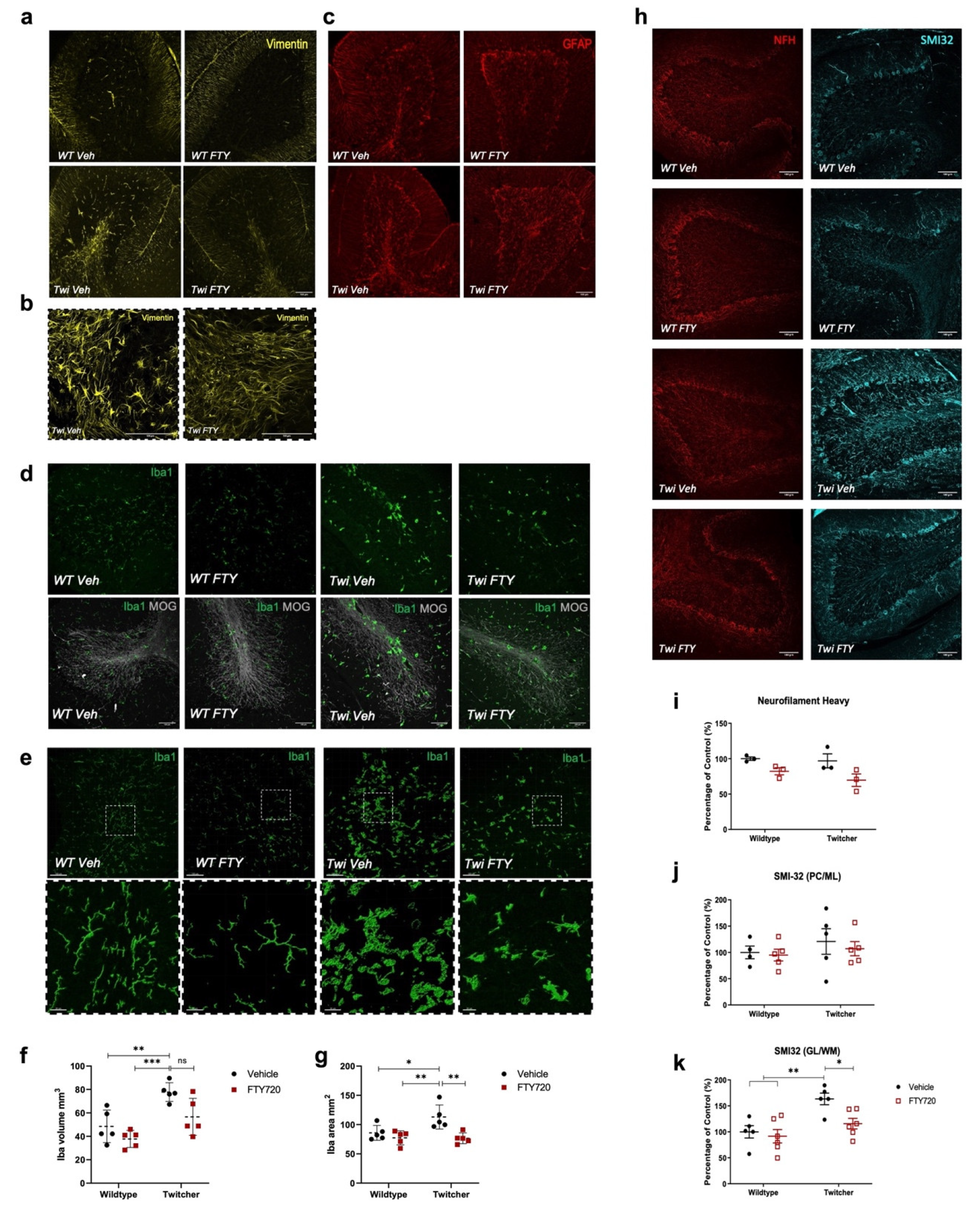 Biomedicines 12 00594 g006