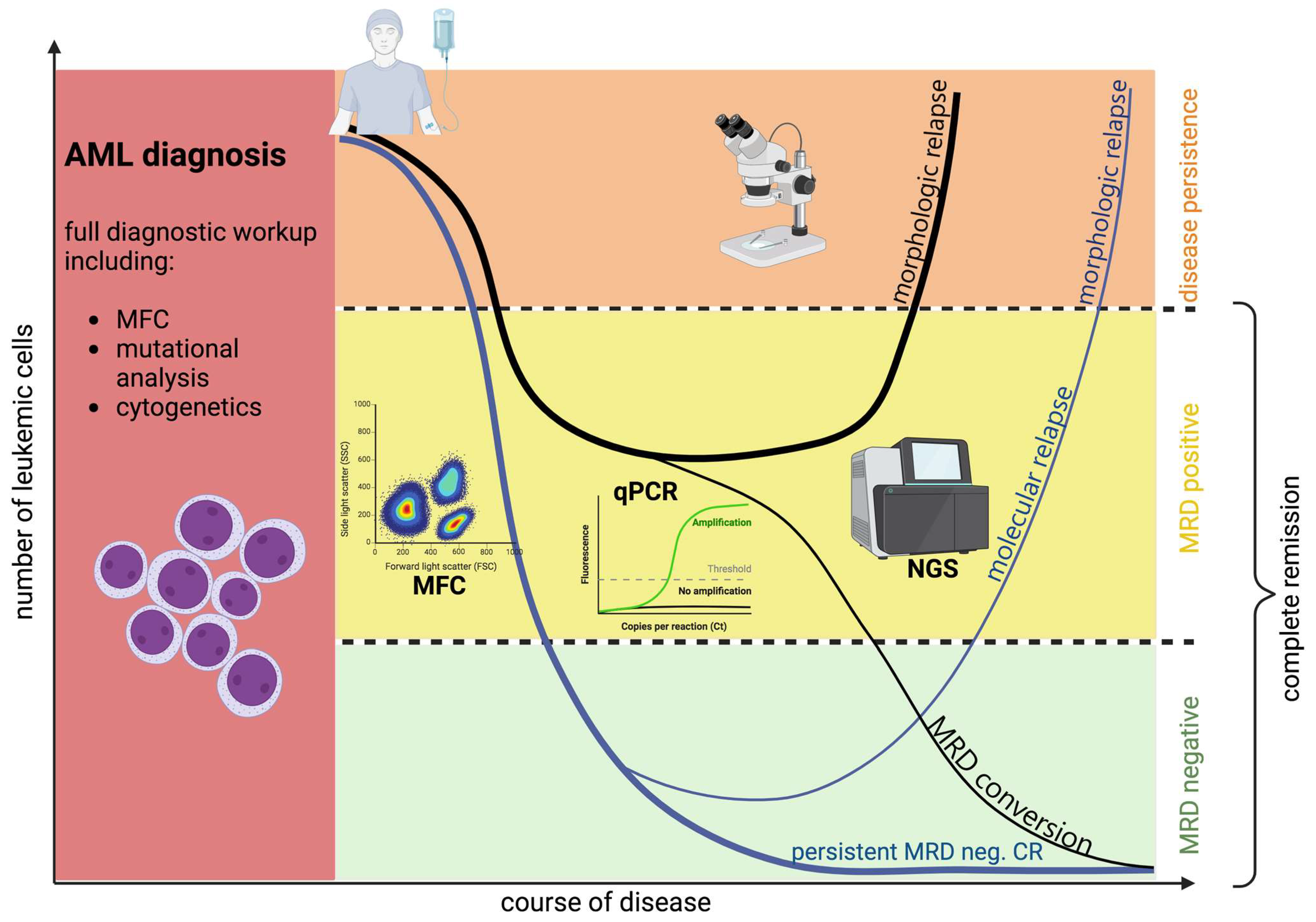 Biomedicines 12 00599 g001