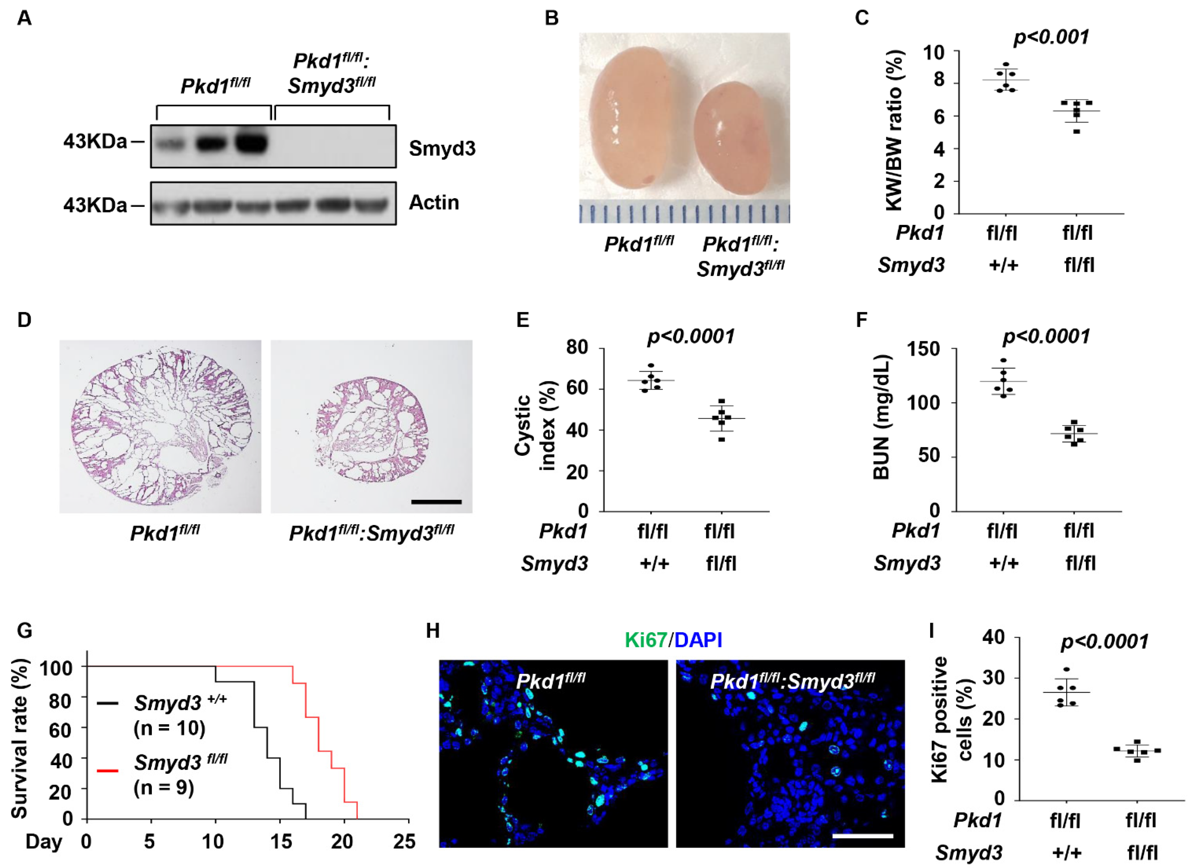 Biomedicines 12 00603 g002