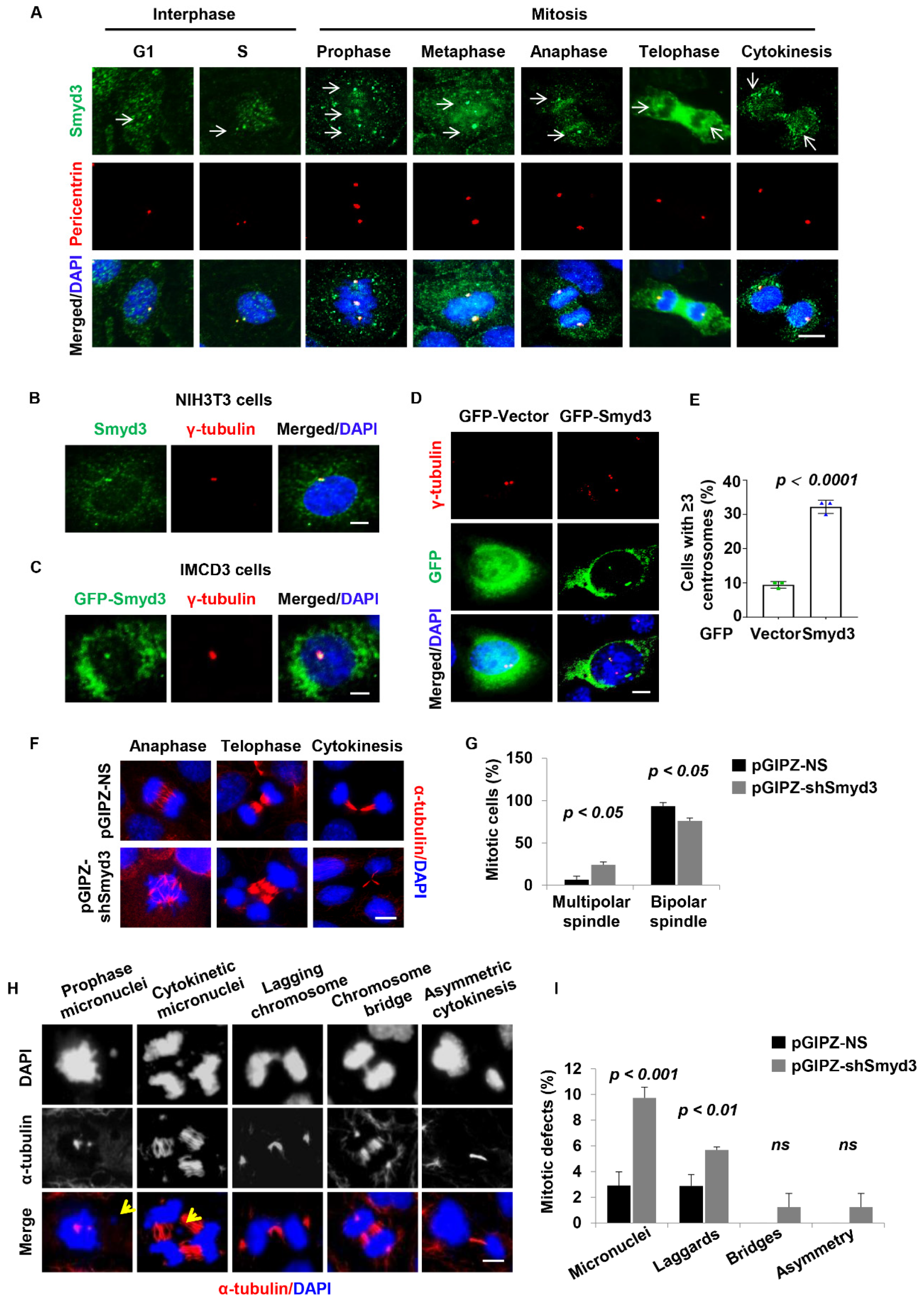 Biomedicines 12 00603 g005