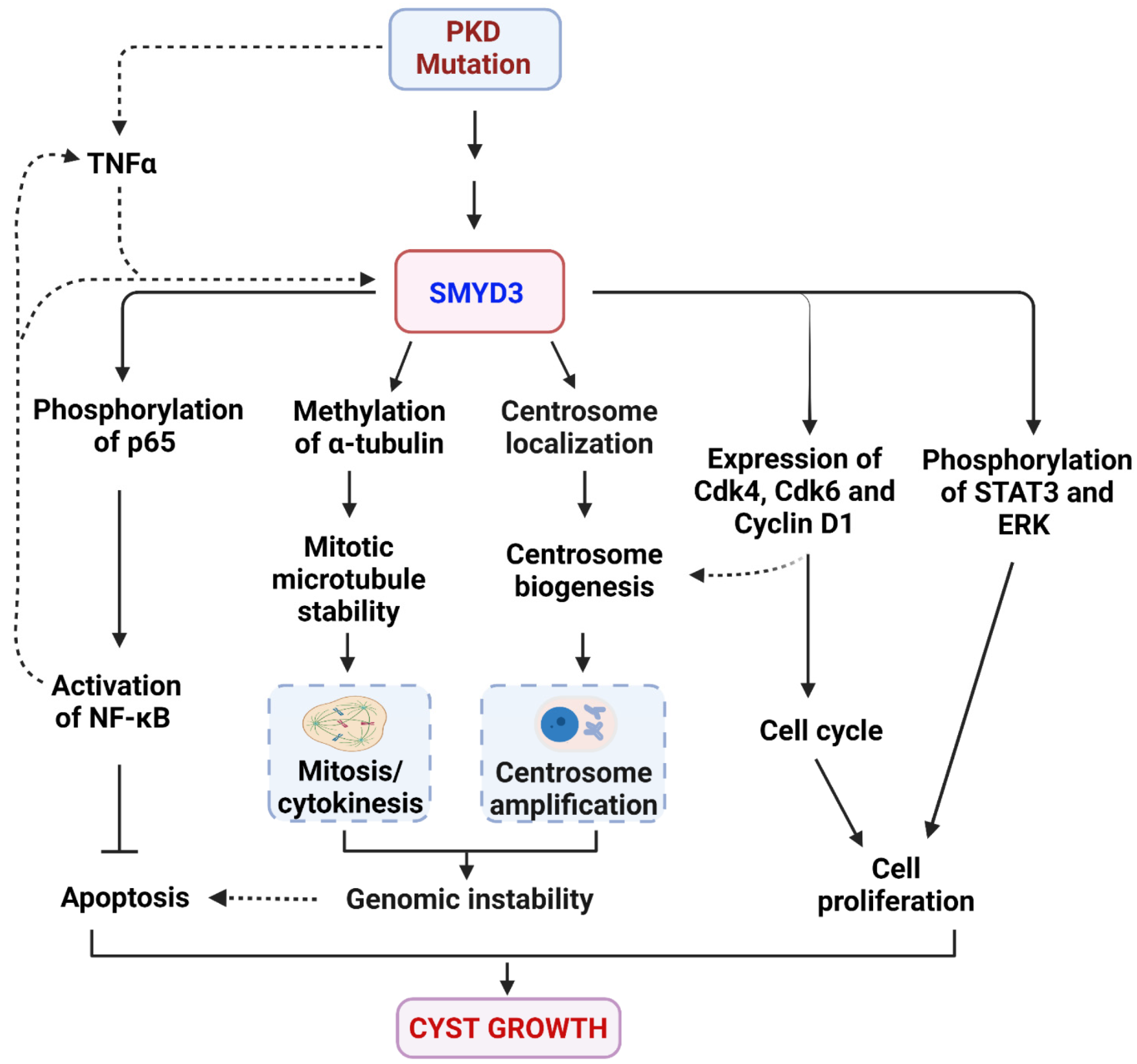 Biomedicines 12 00603 g008