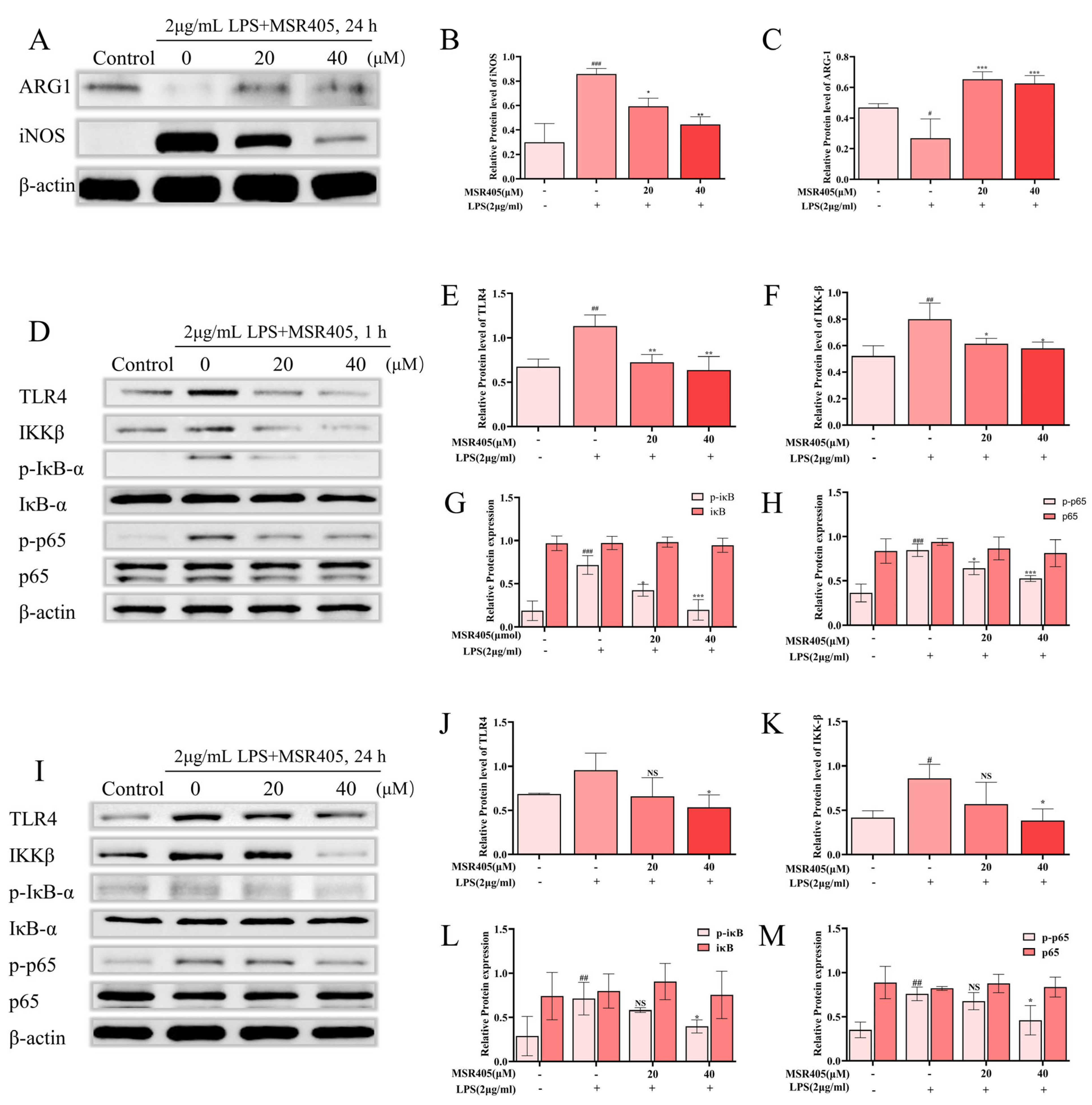 Biomedicines 12 00614 g005