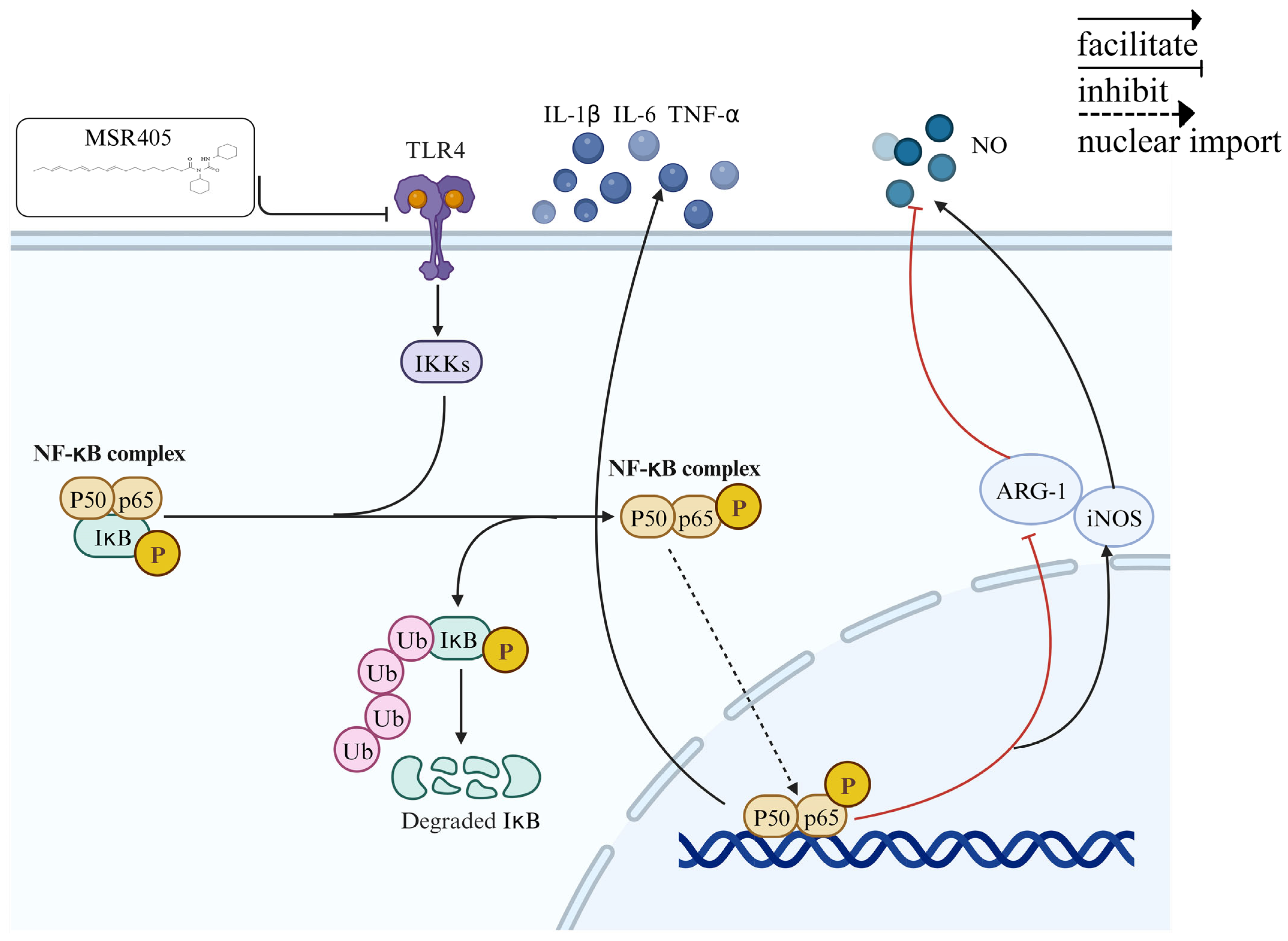 Biomedicines 12 00614 g006