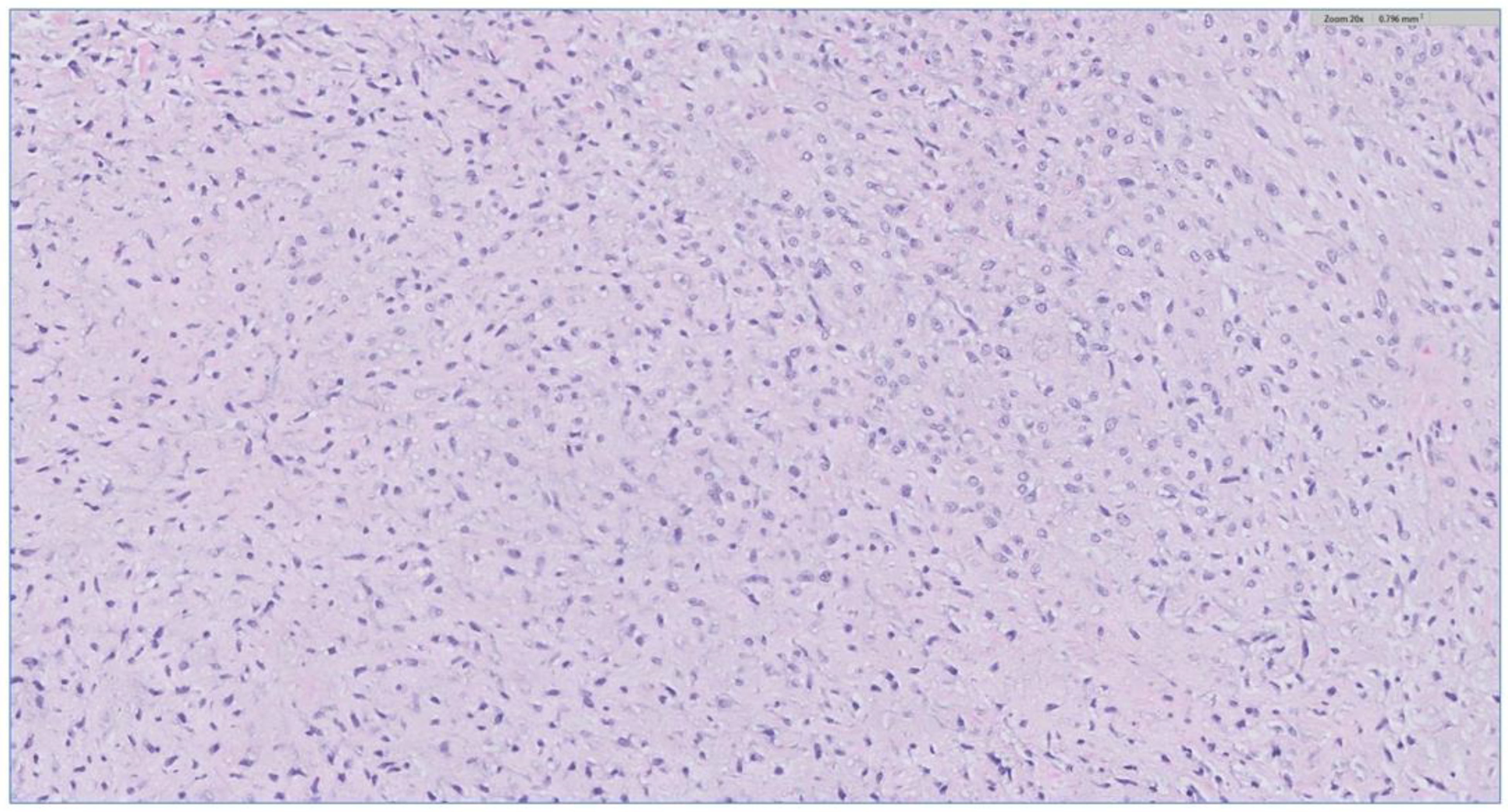 Biomedicines 12 00615 g004