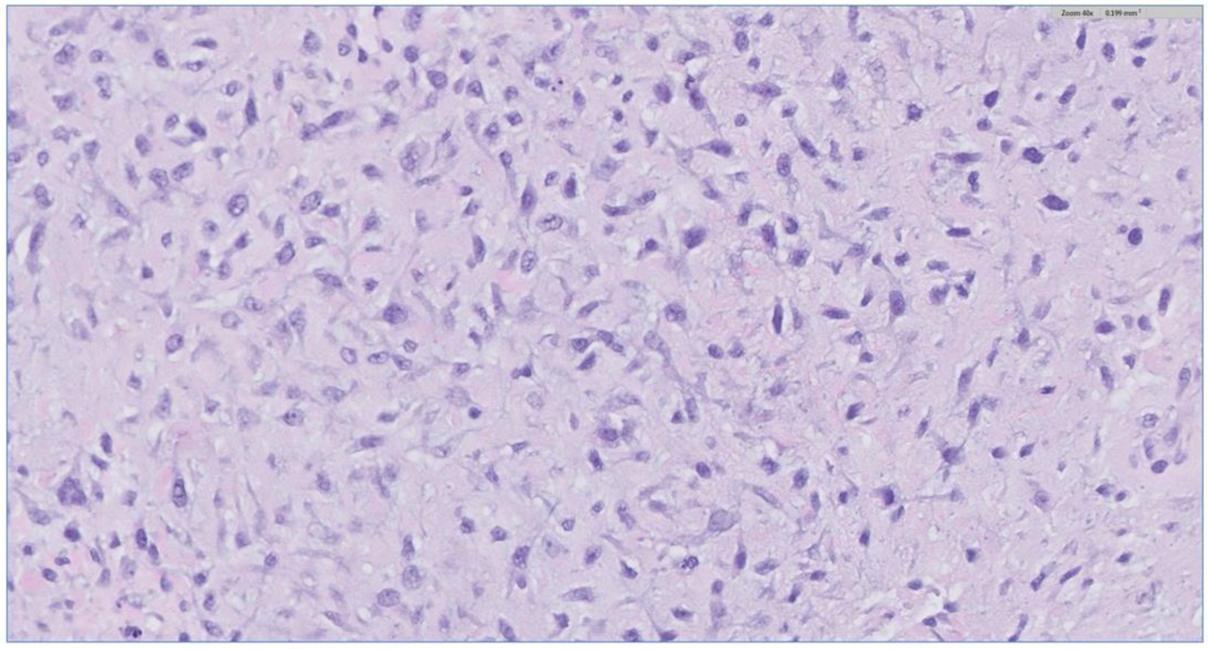 Biomedicines 12 00615 g005