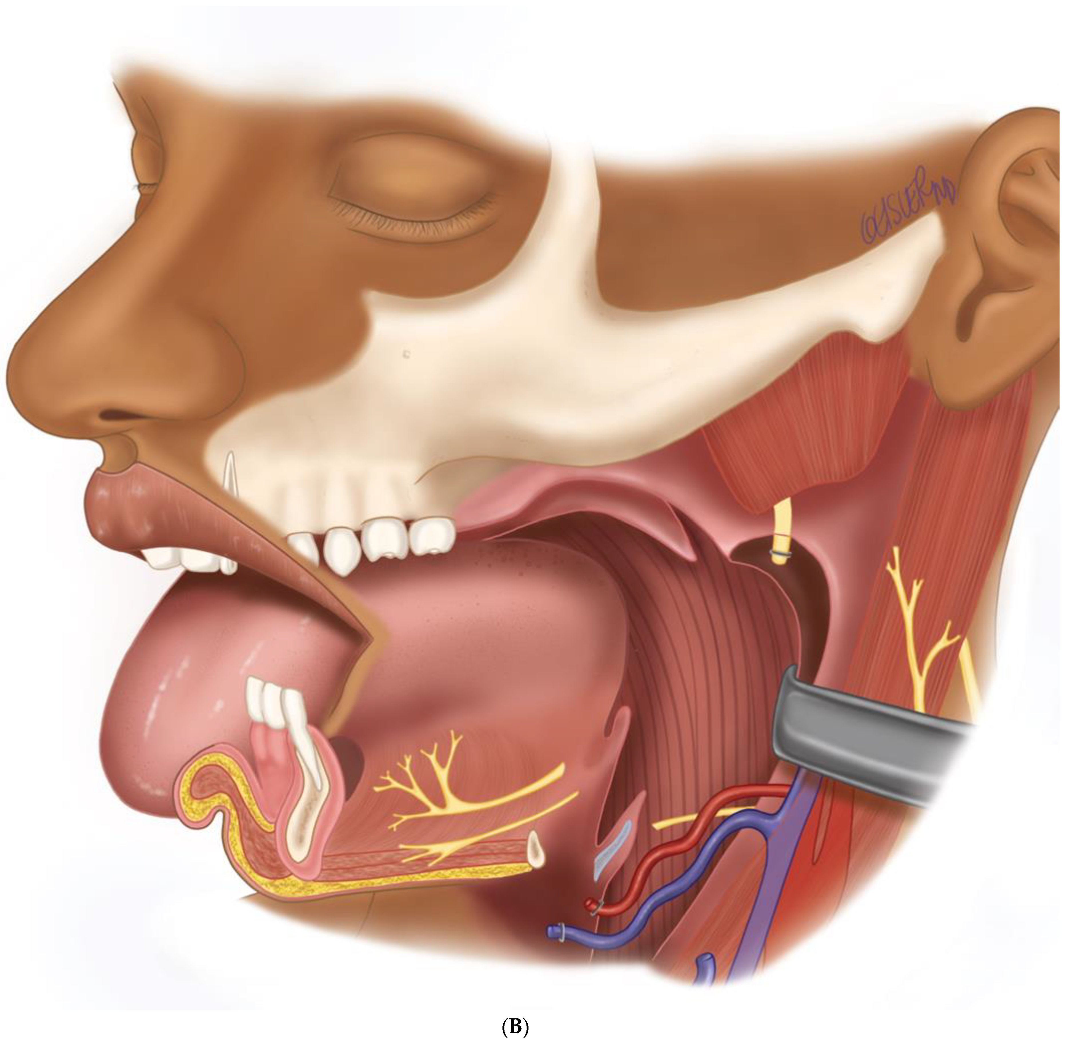 Biomedicines 12 00615 g007b