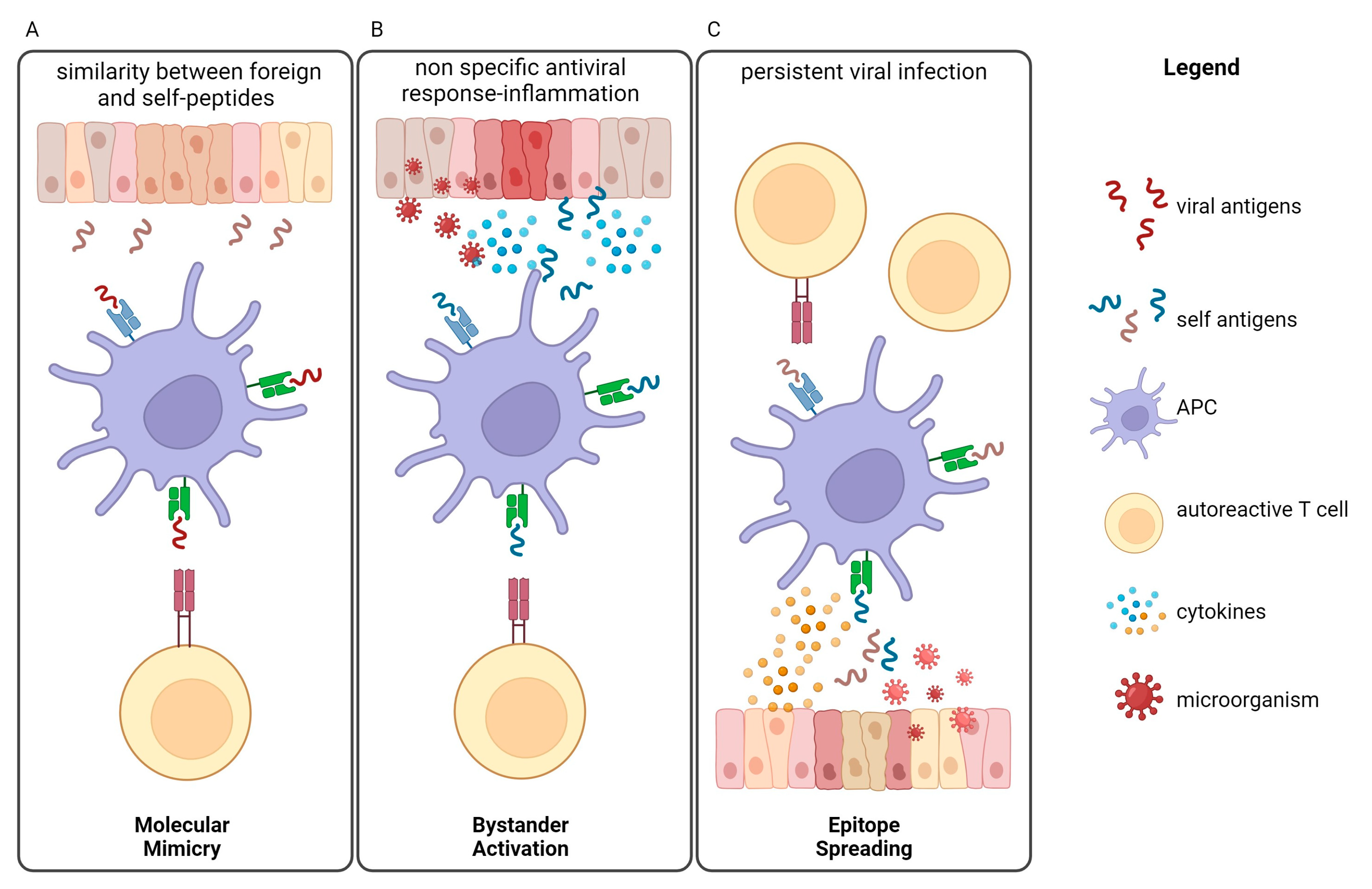 Biomedicines 12 00616 g001 Biomedicines 12 00616 g001