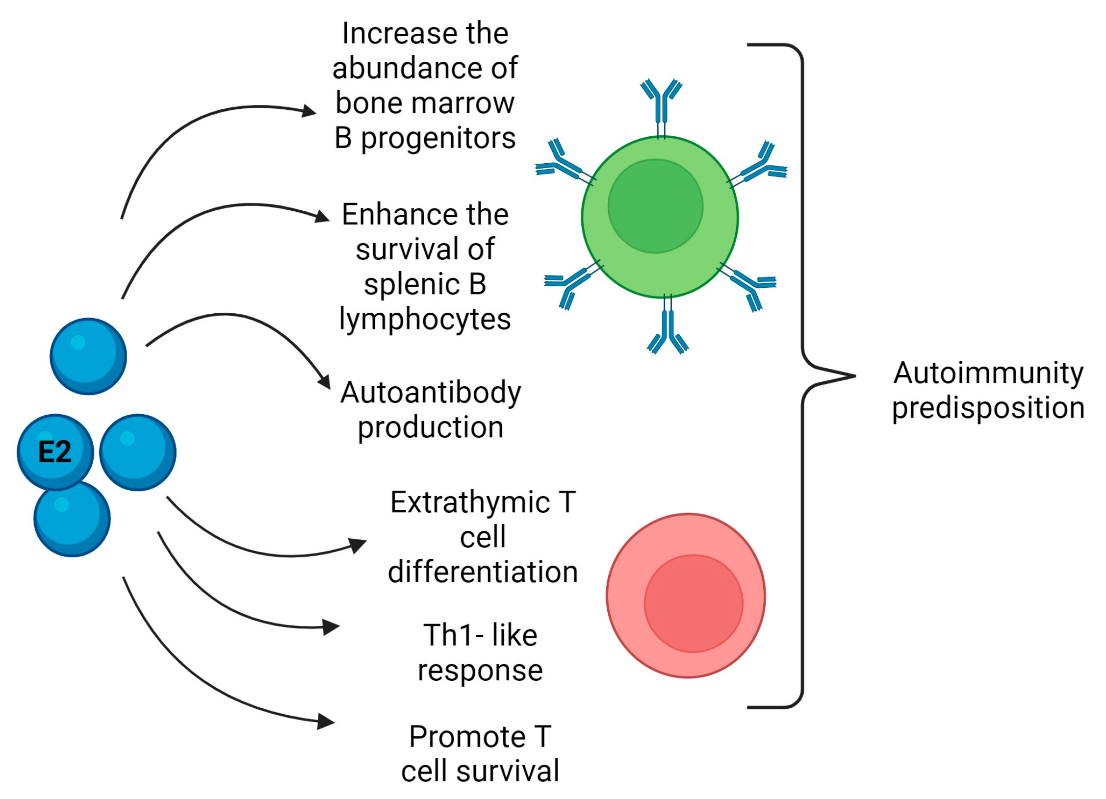 Biomedicines 12 00616 g002 Biomedicines 12 00616 g002