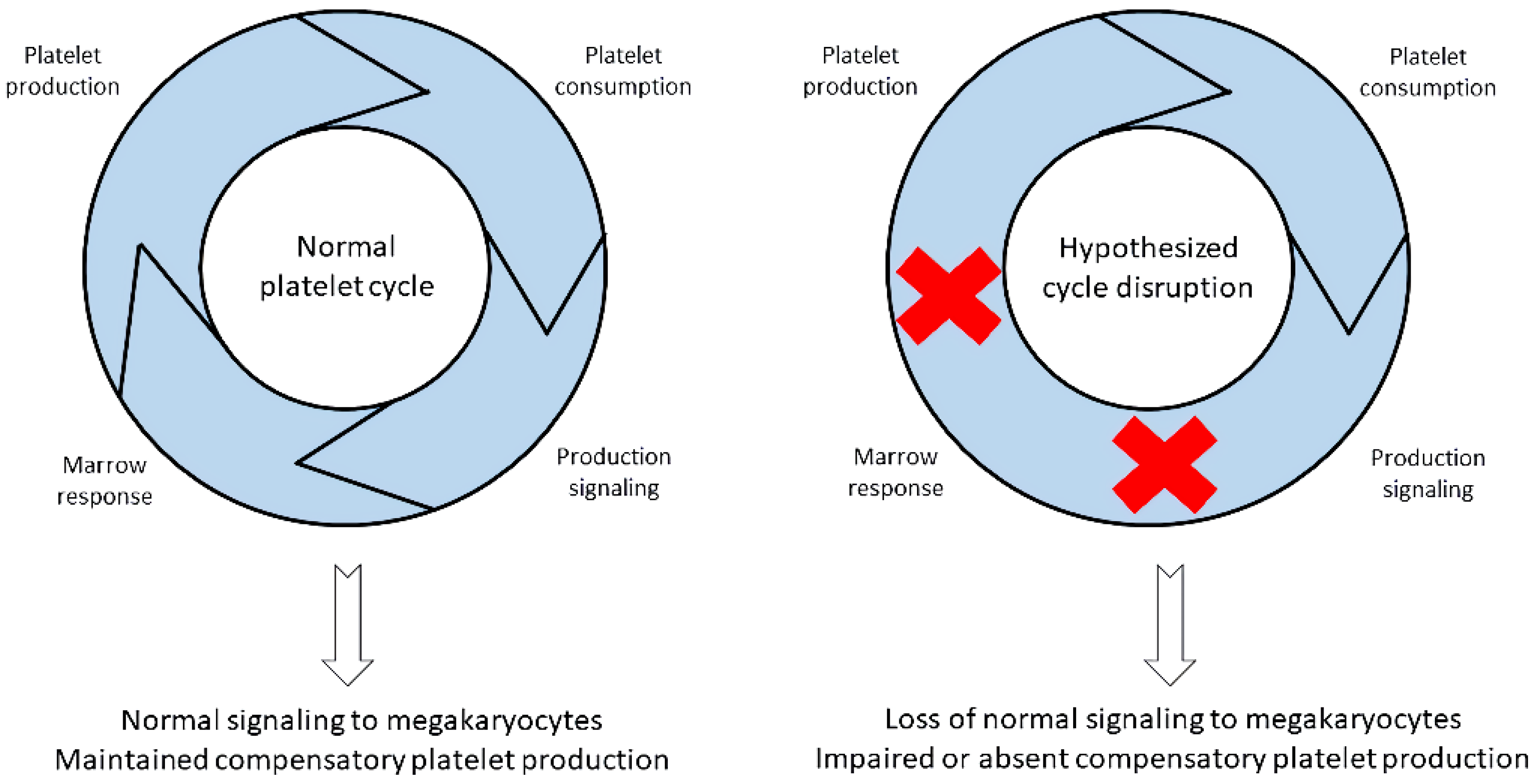 Biomedicines 12 00621 g002