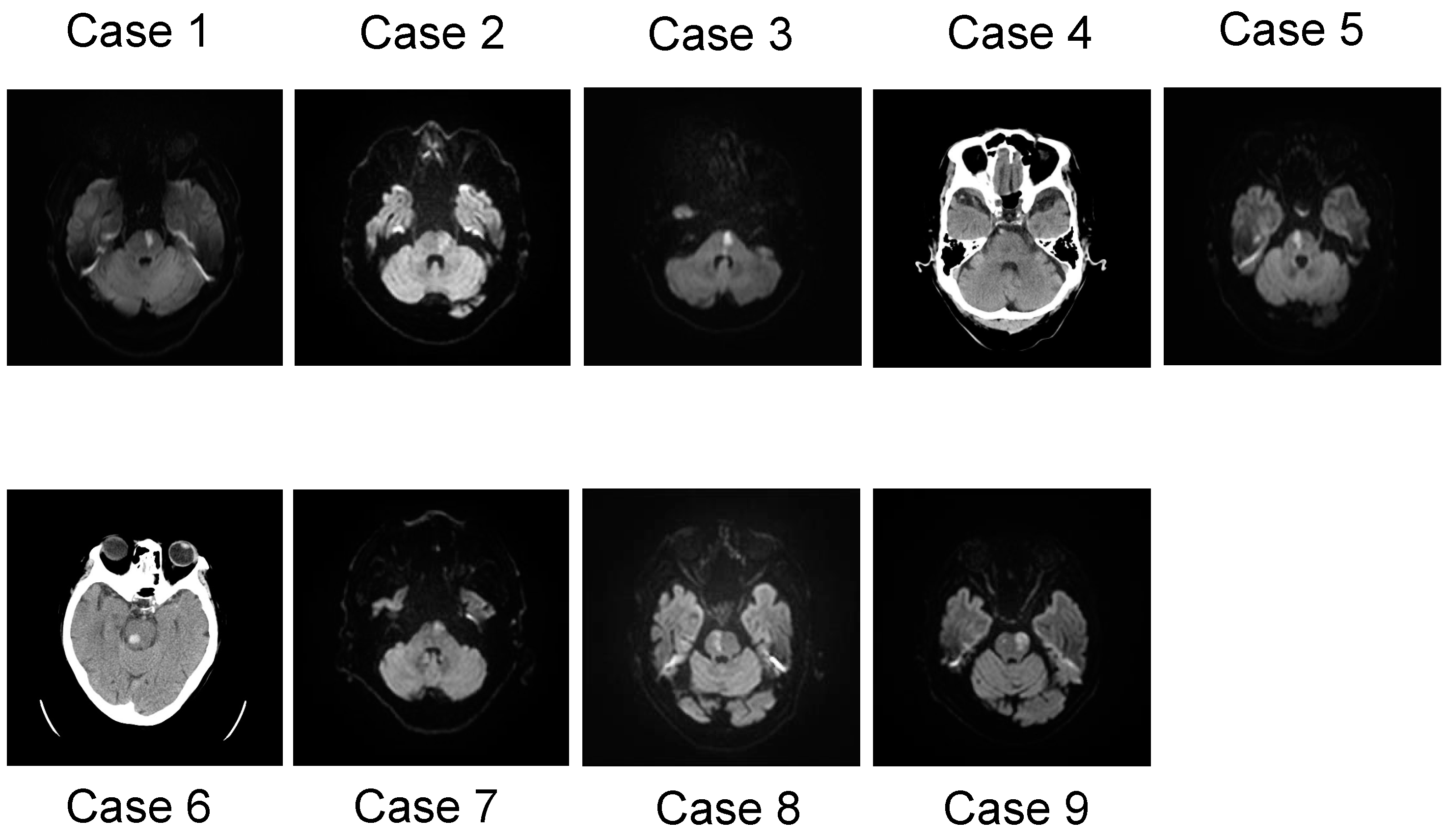 Biomedicines 12 00623 g001