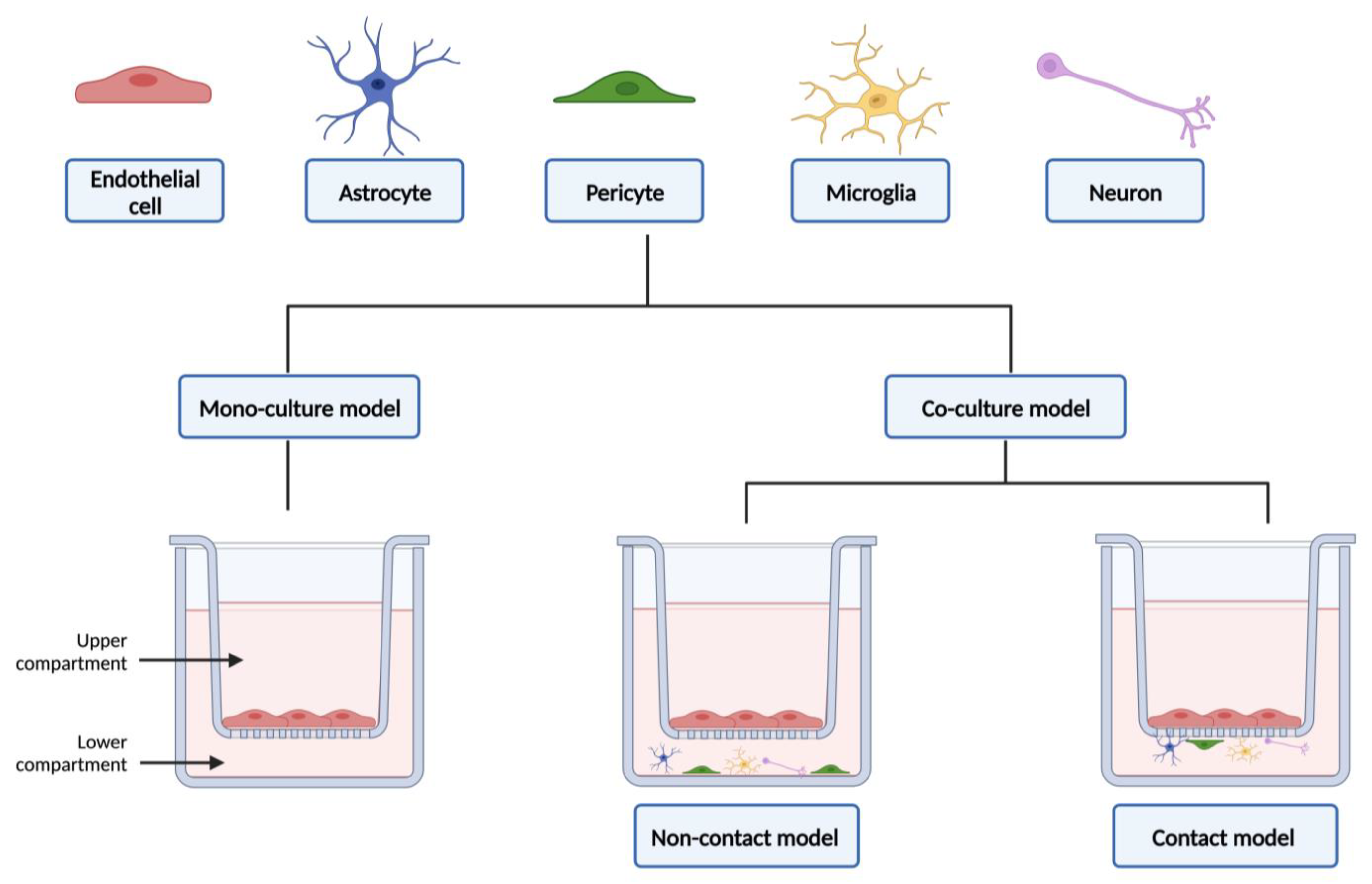 Biomedicines 12 00626 g004 Biomedicines 12 00626 g004