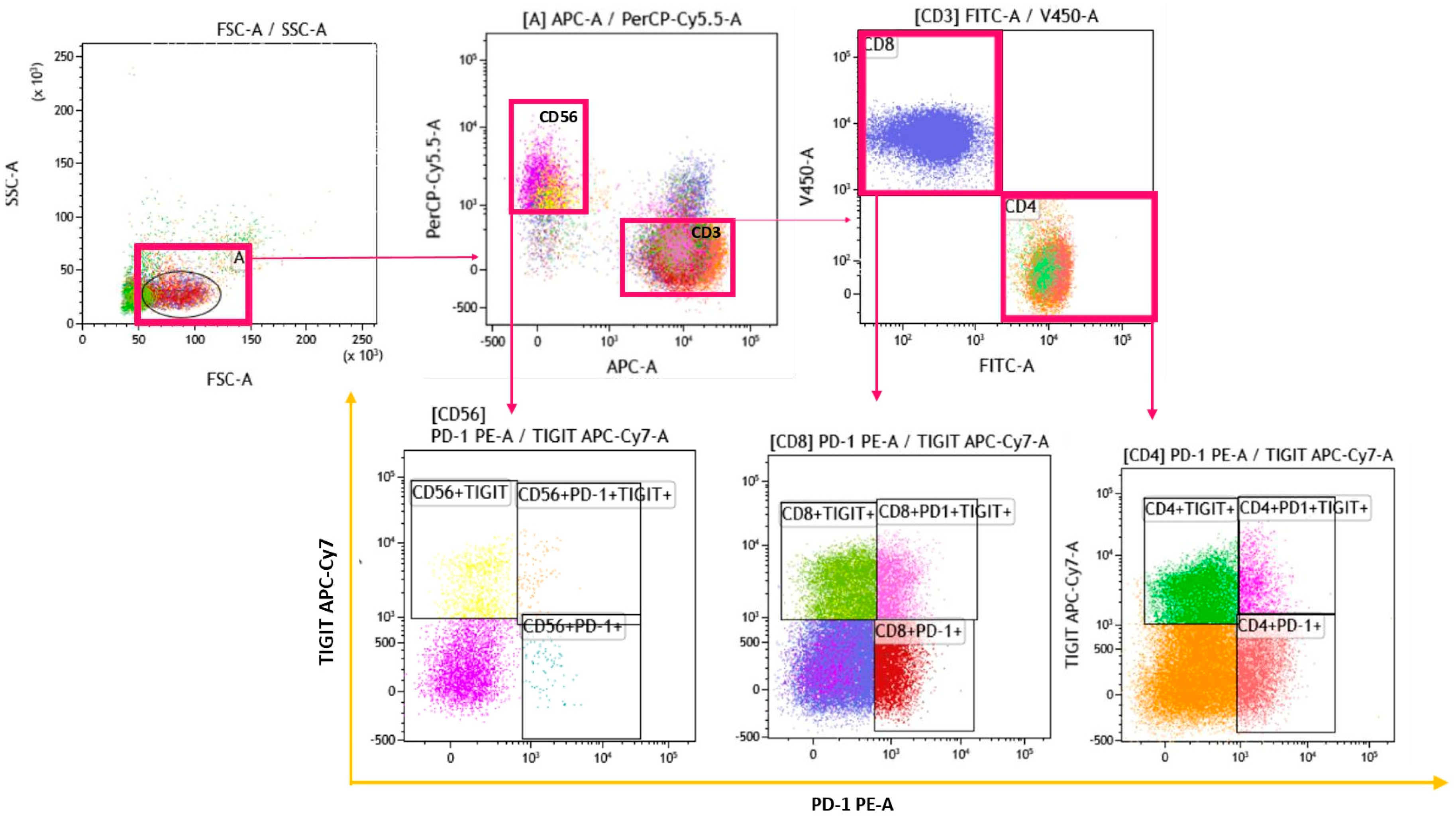 Biomedicines 12 00630 g001