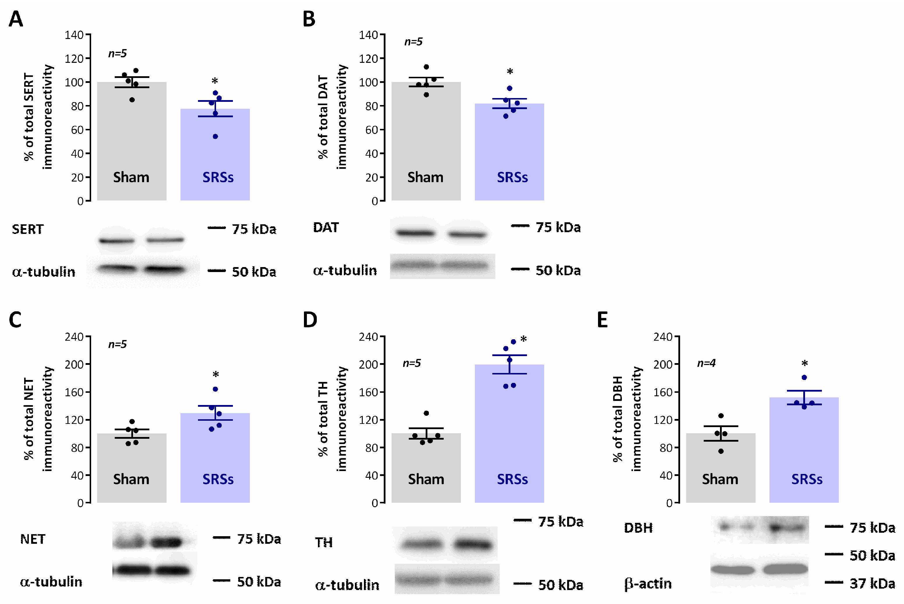 Biomedicines 12 00631 g006