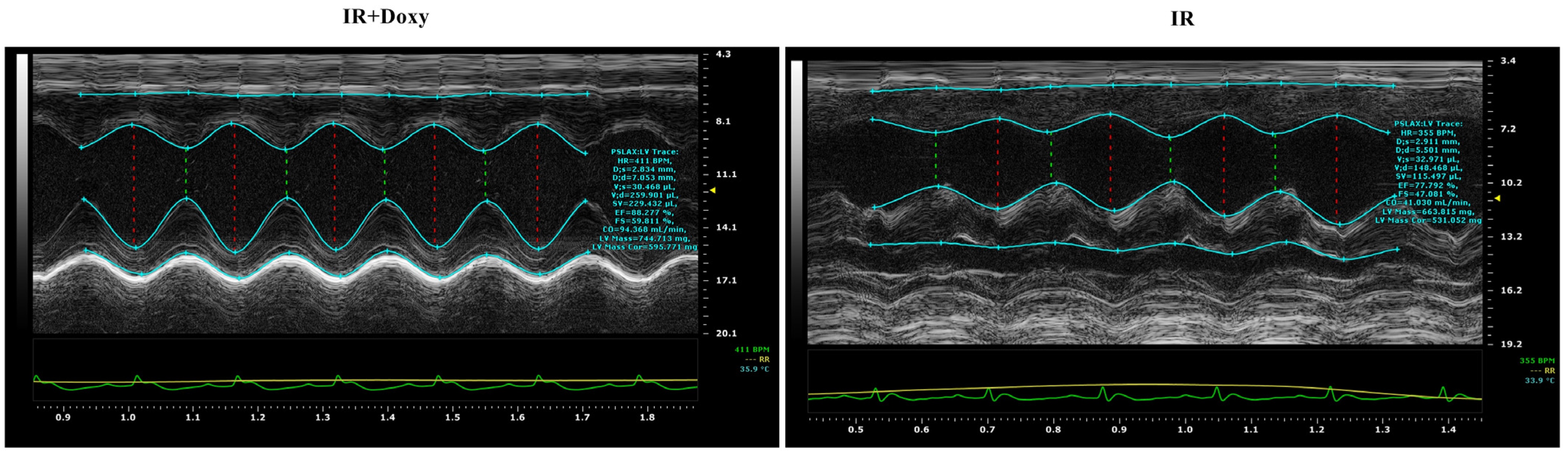 Biomedicines 12 00634 g003