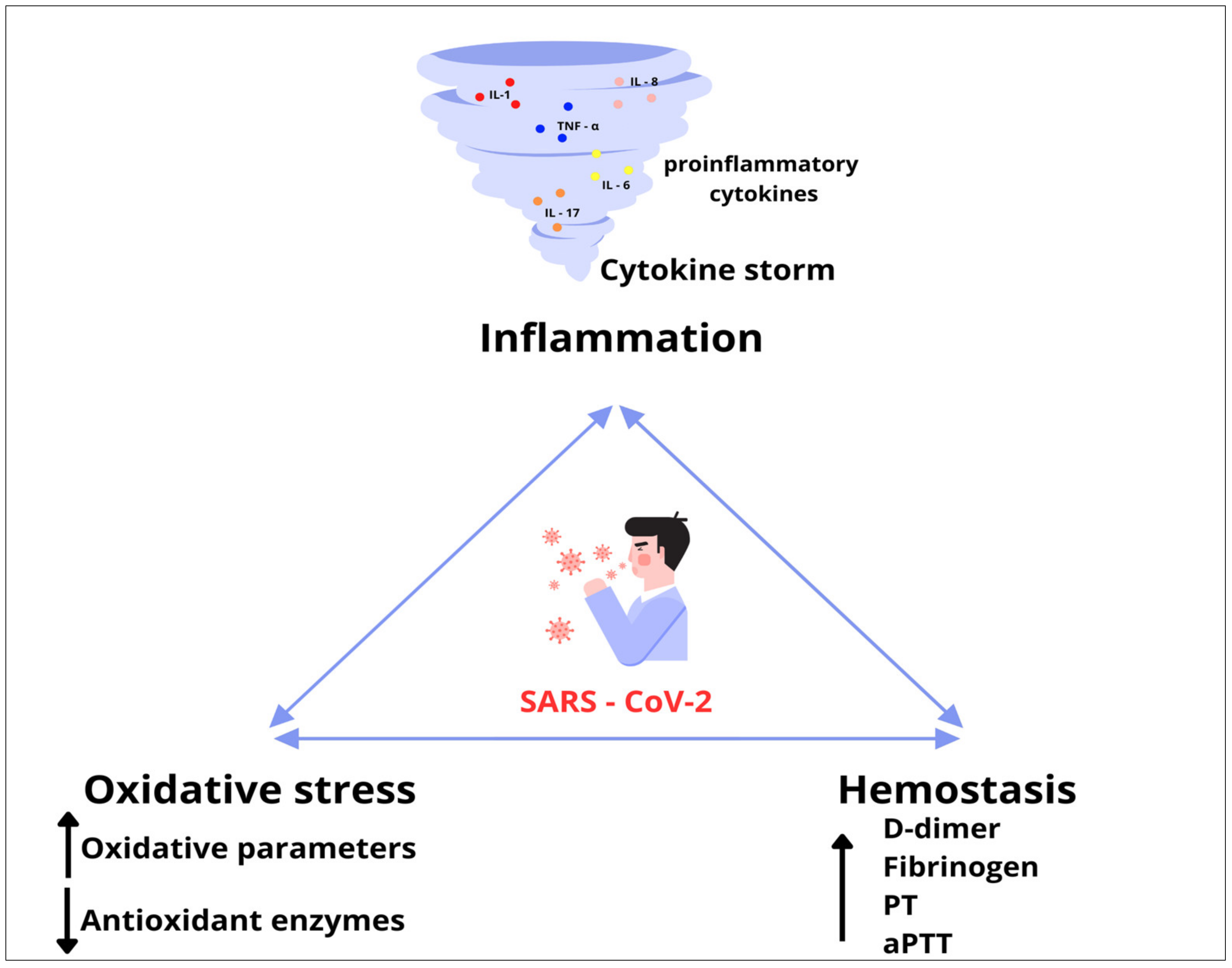 Biomedicines 12 00636 g011