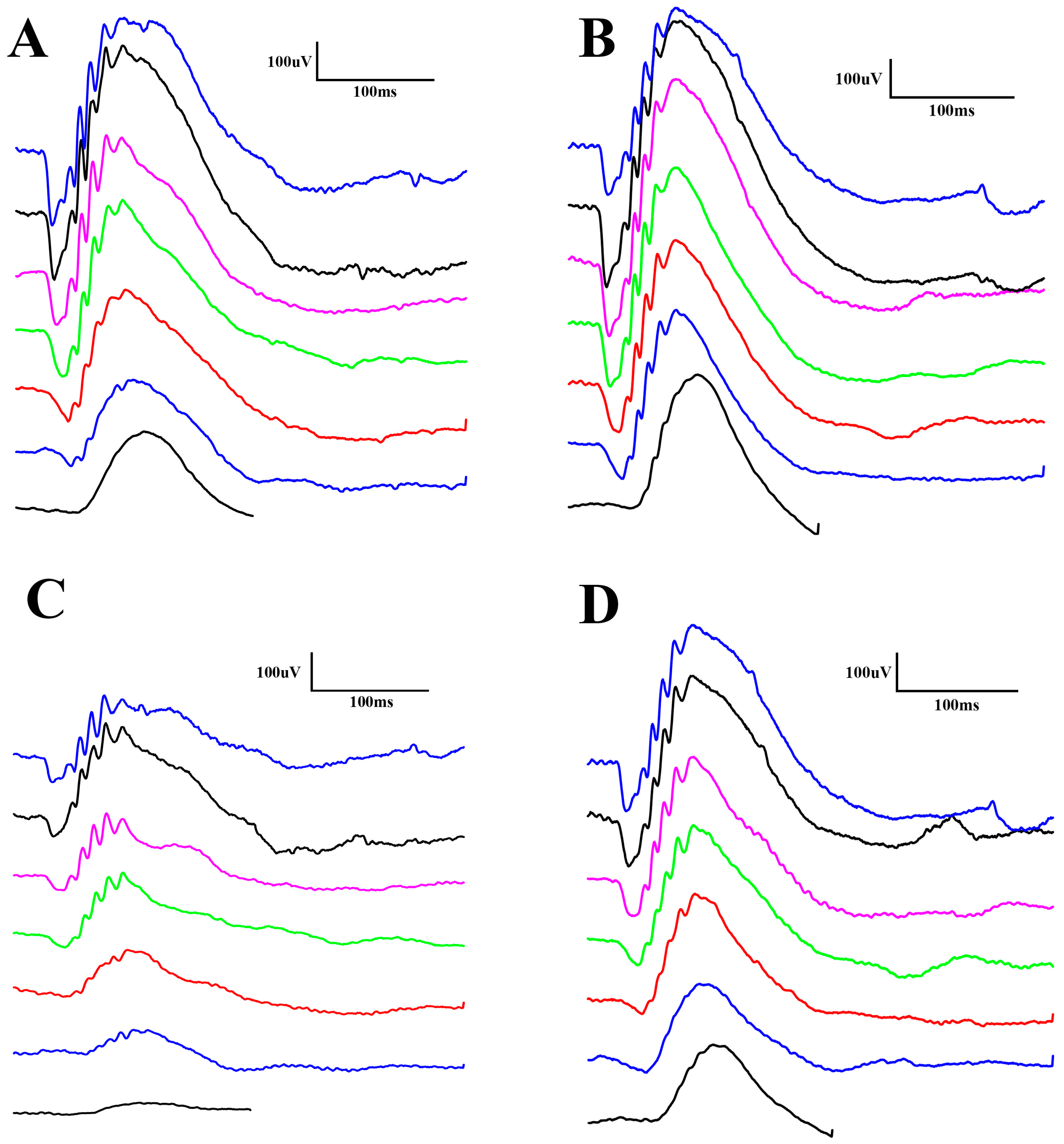Biomedicines 12 00637 g002
