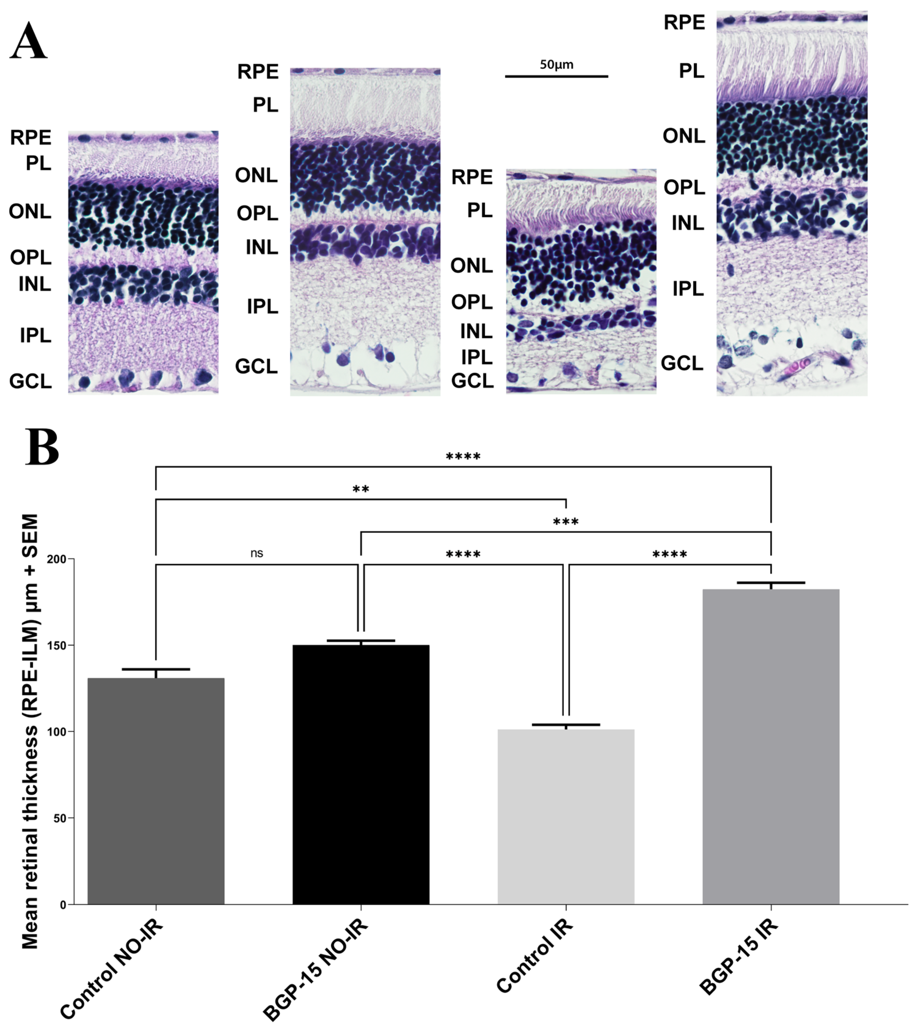 Biomedicines 12 00637 g009