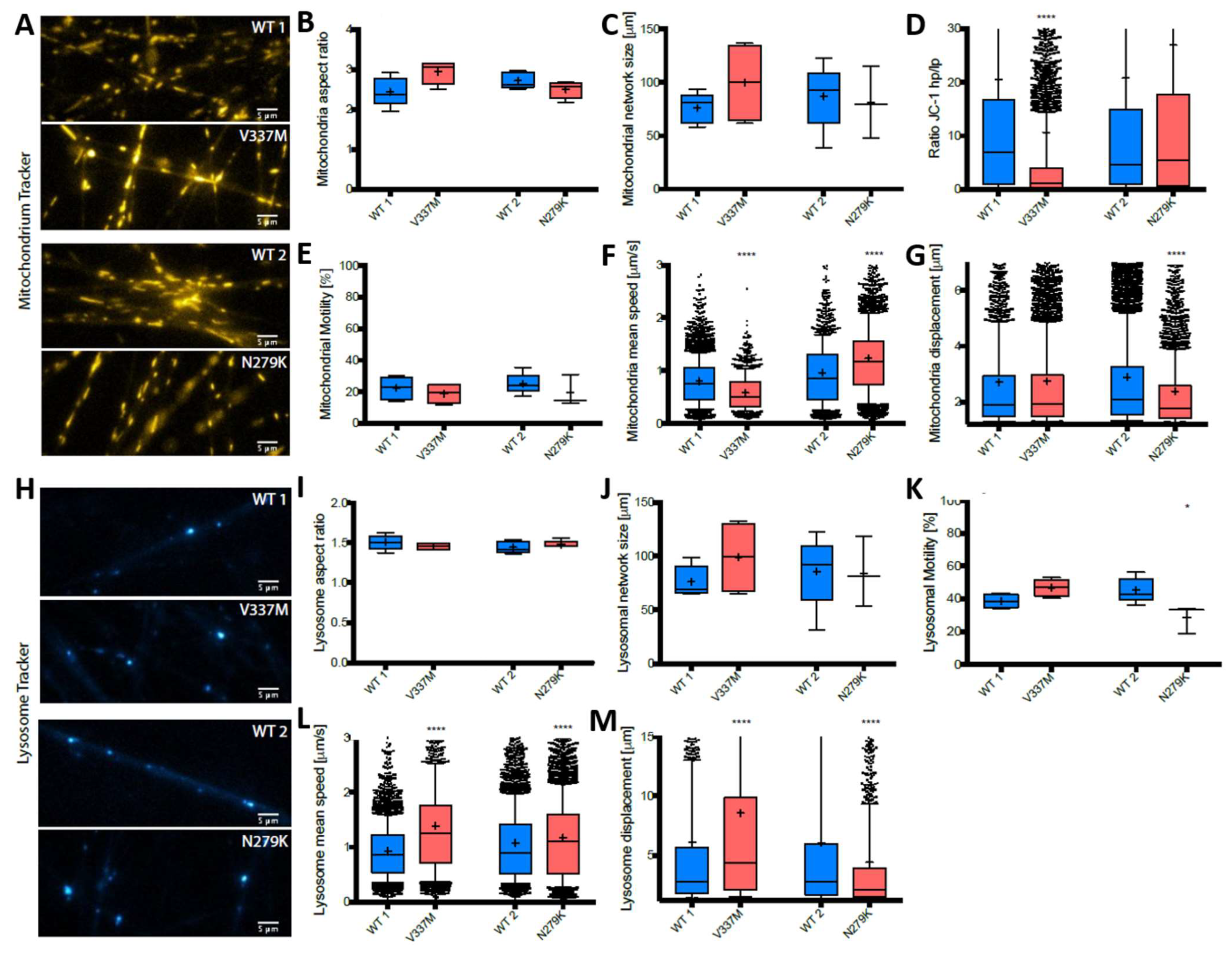 Biomedicines 12 00641 g002