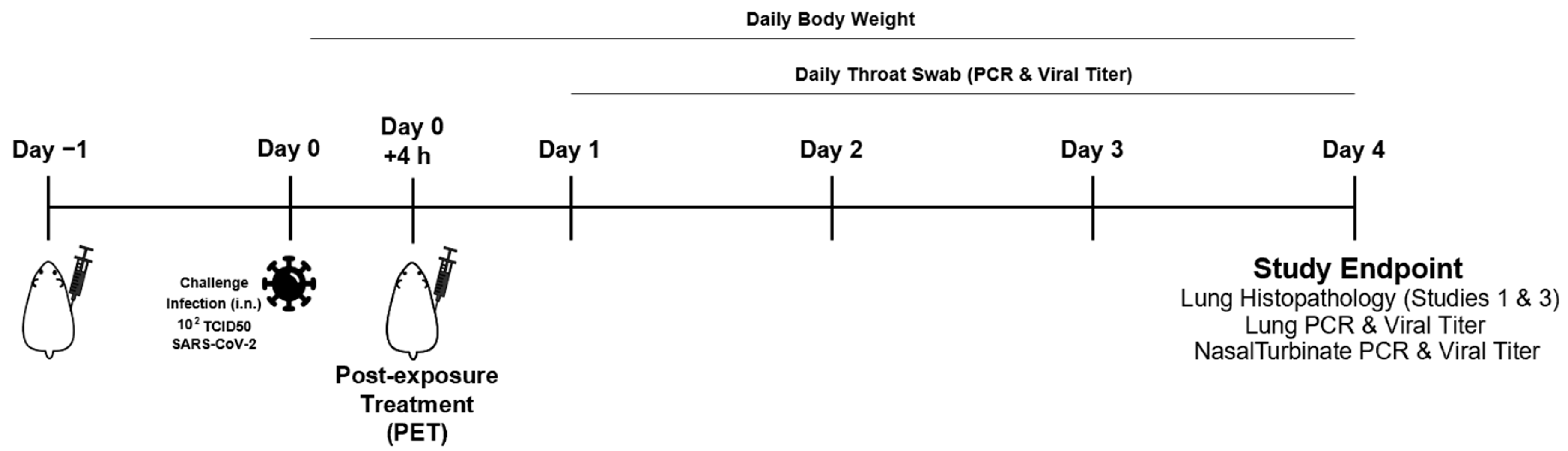 Biomedicines 12 00642 g001