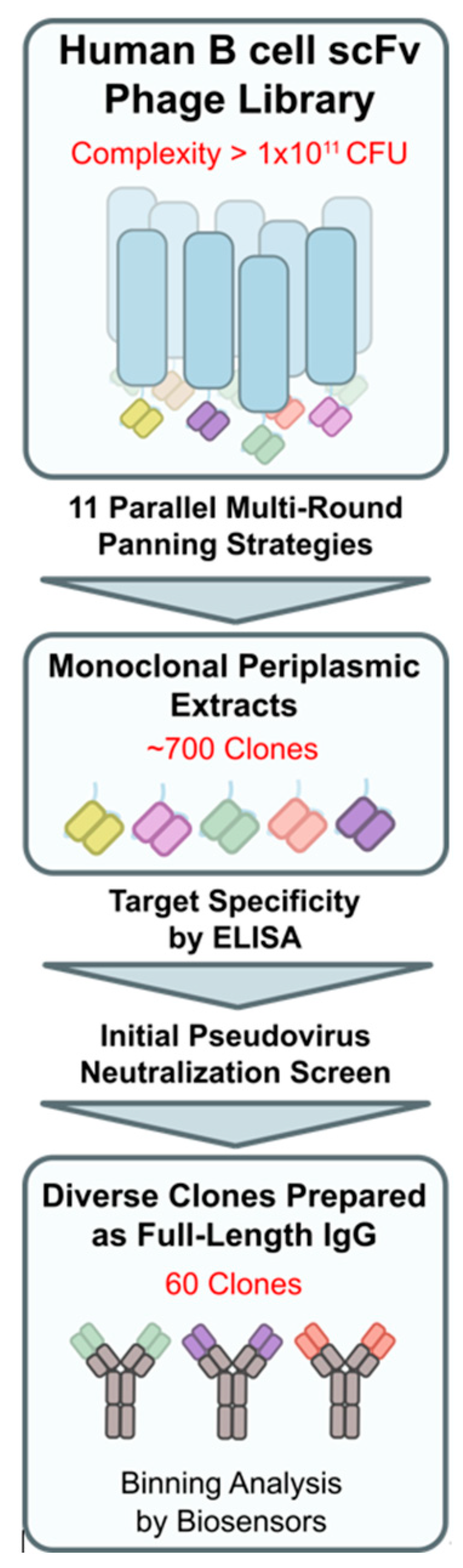 Biomedicines 12 00642 g002