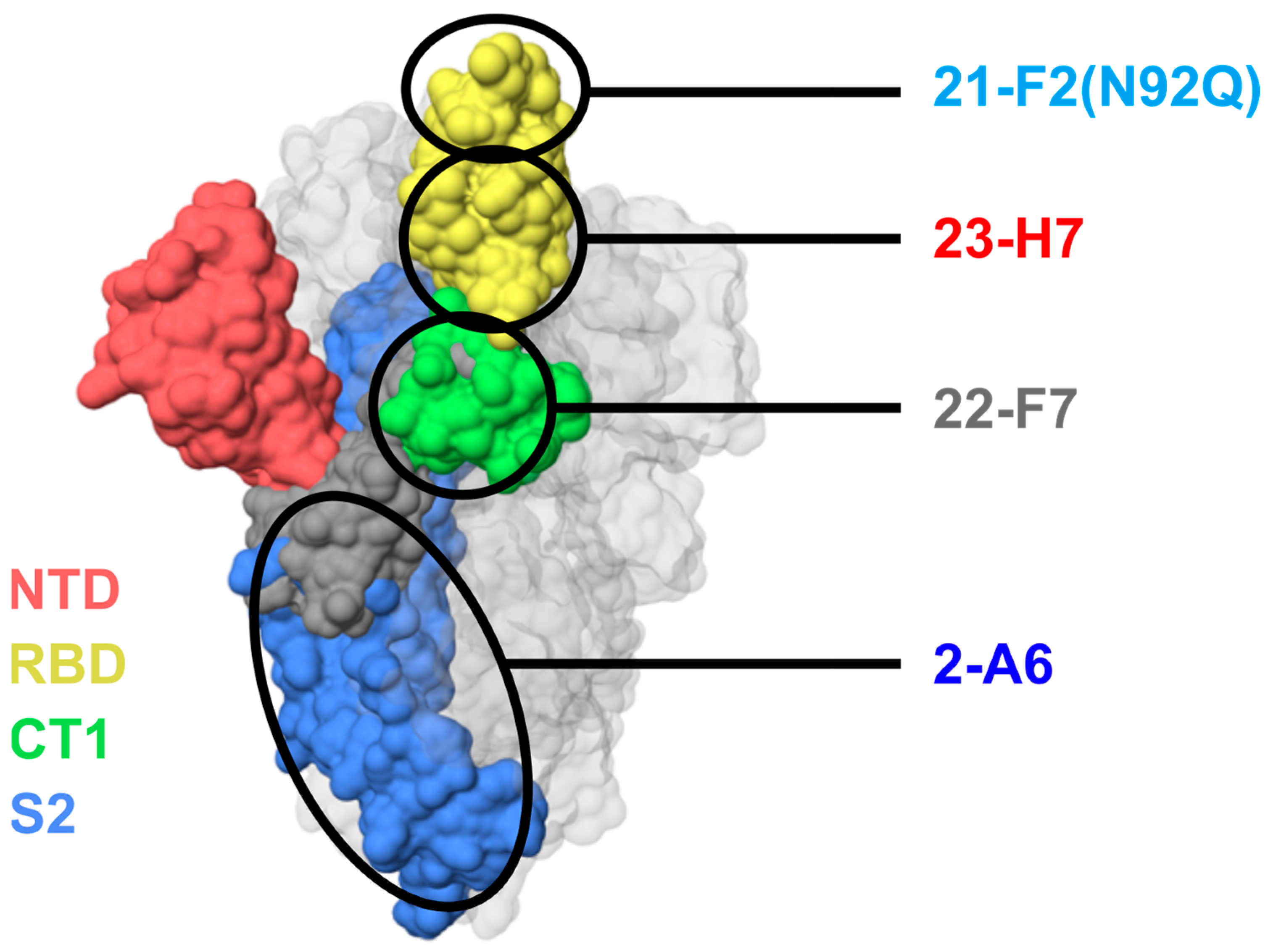 Biomedicines 12 00642 g004