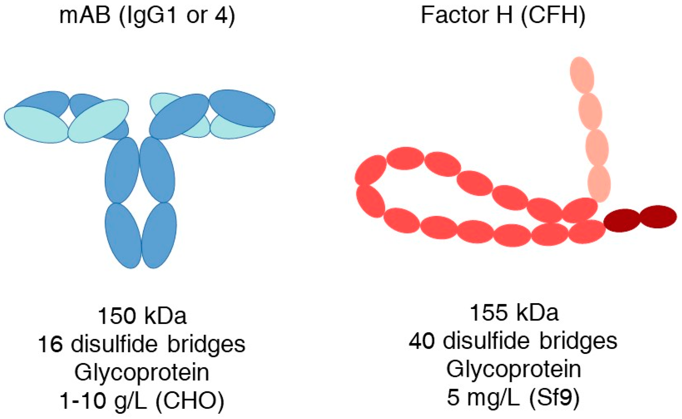 Biomedicines 12 00646 g001