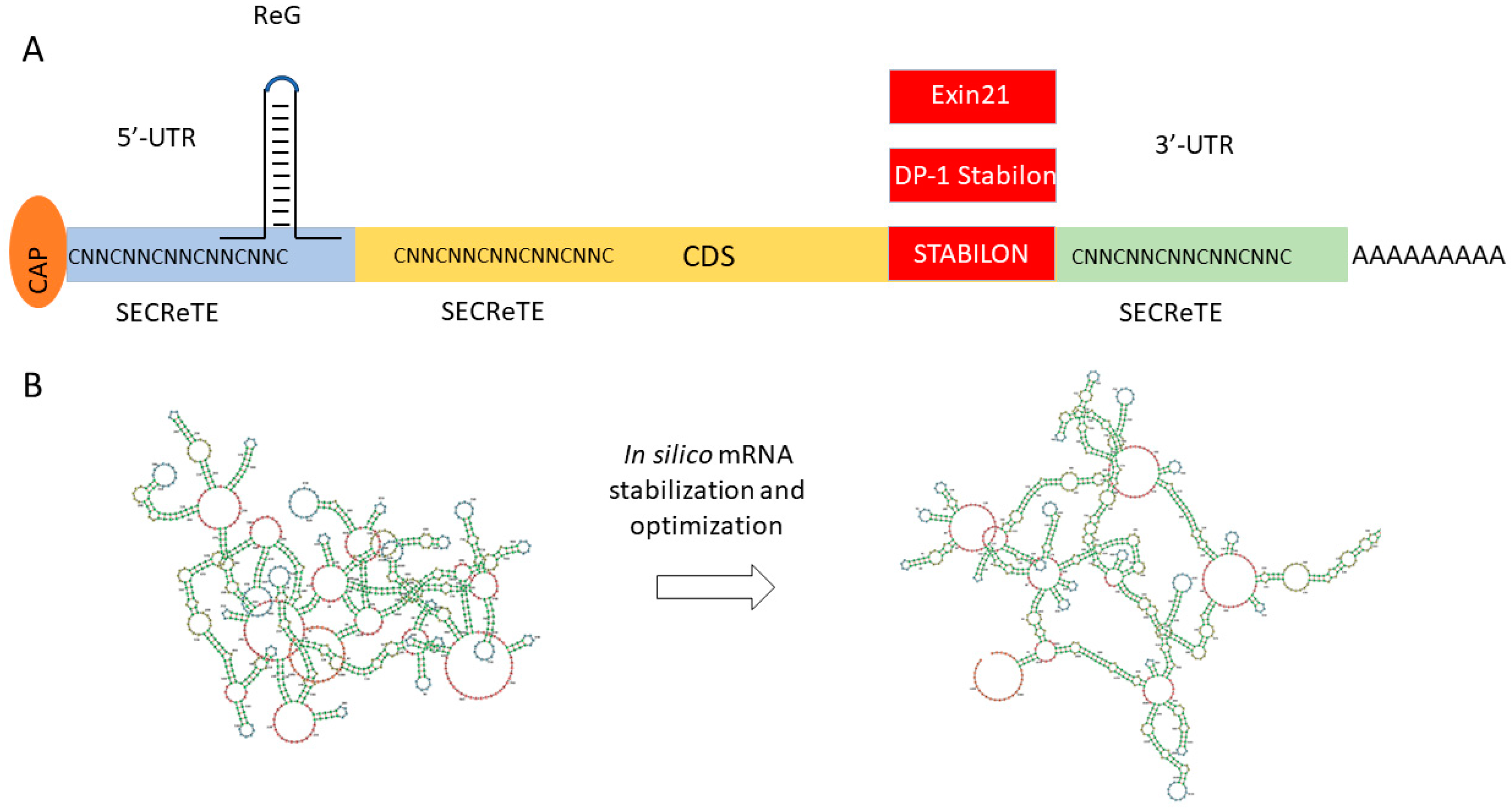 Biomedicines 12 00646 g005