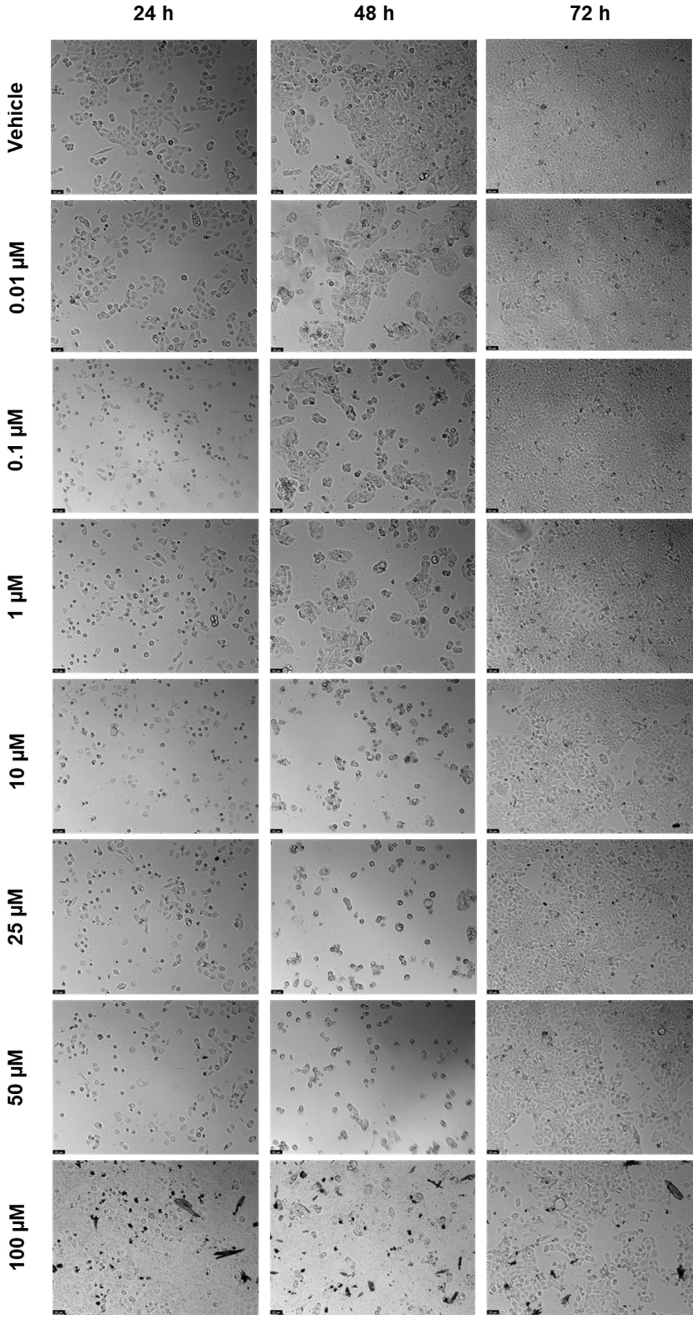 Biomedicines 12 00647 g006