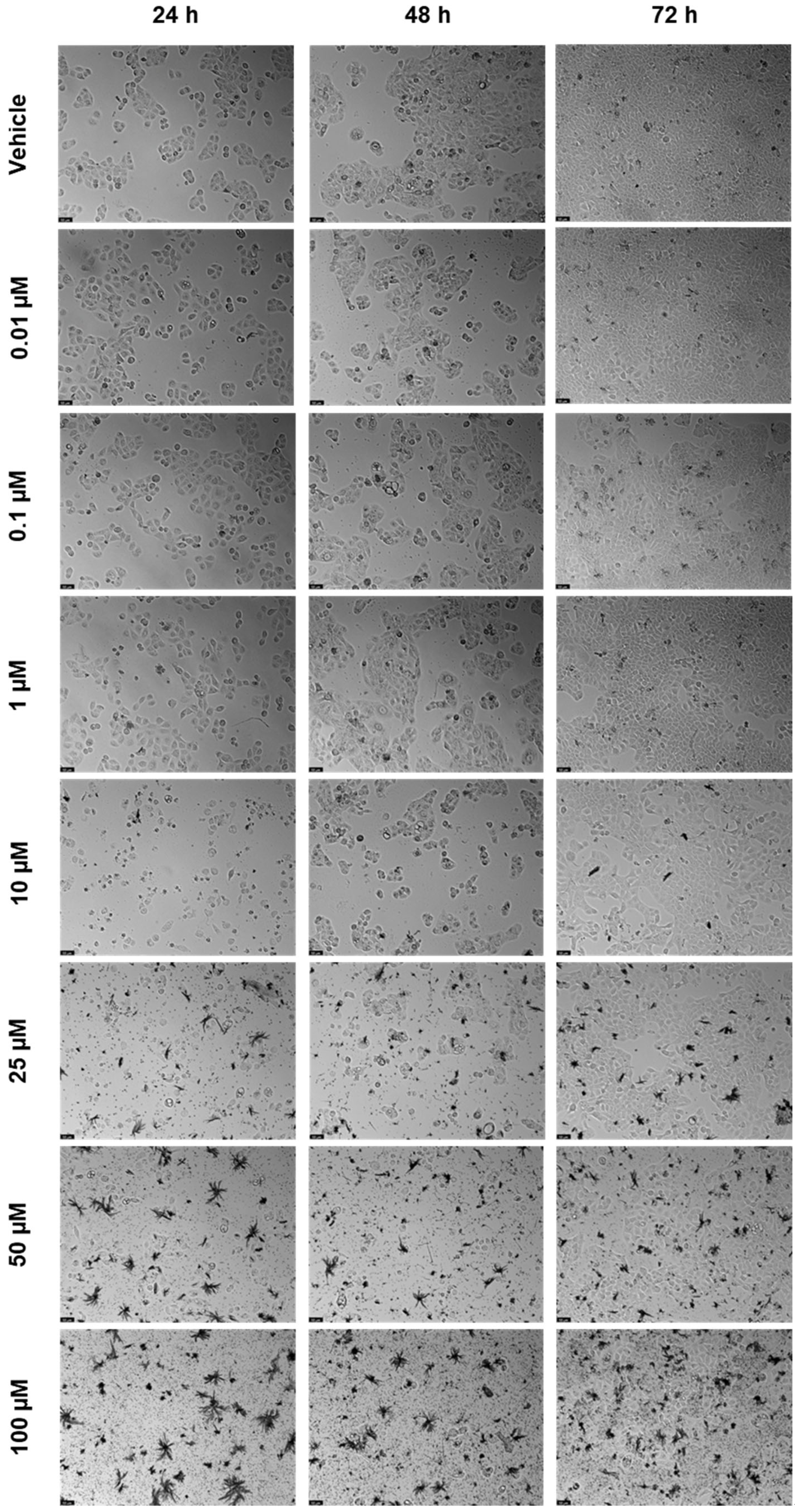 Biomedicines 12 00647 g009