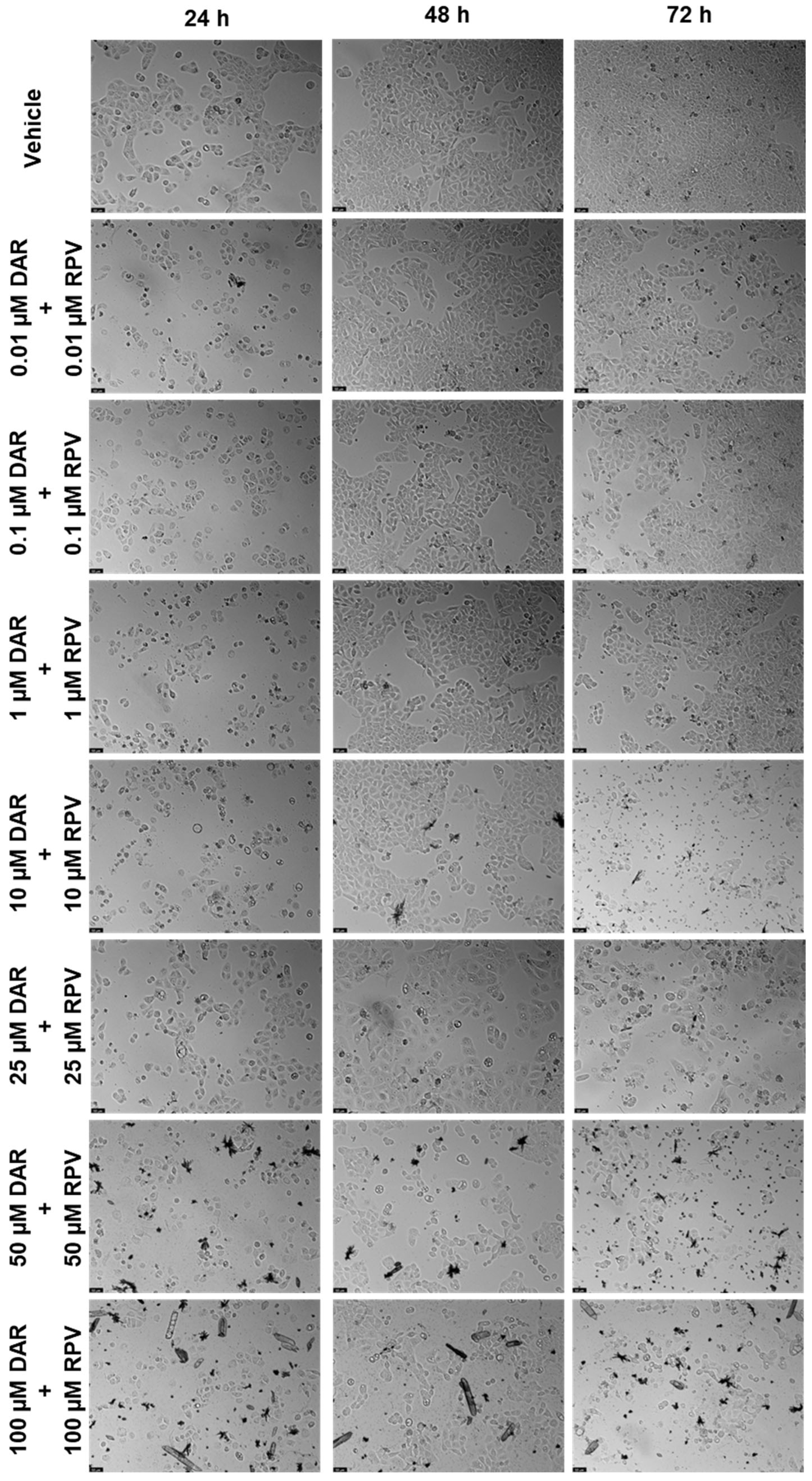 Biomedicines 12 00647 g012