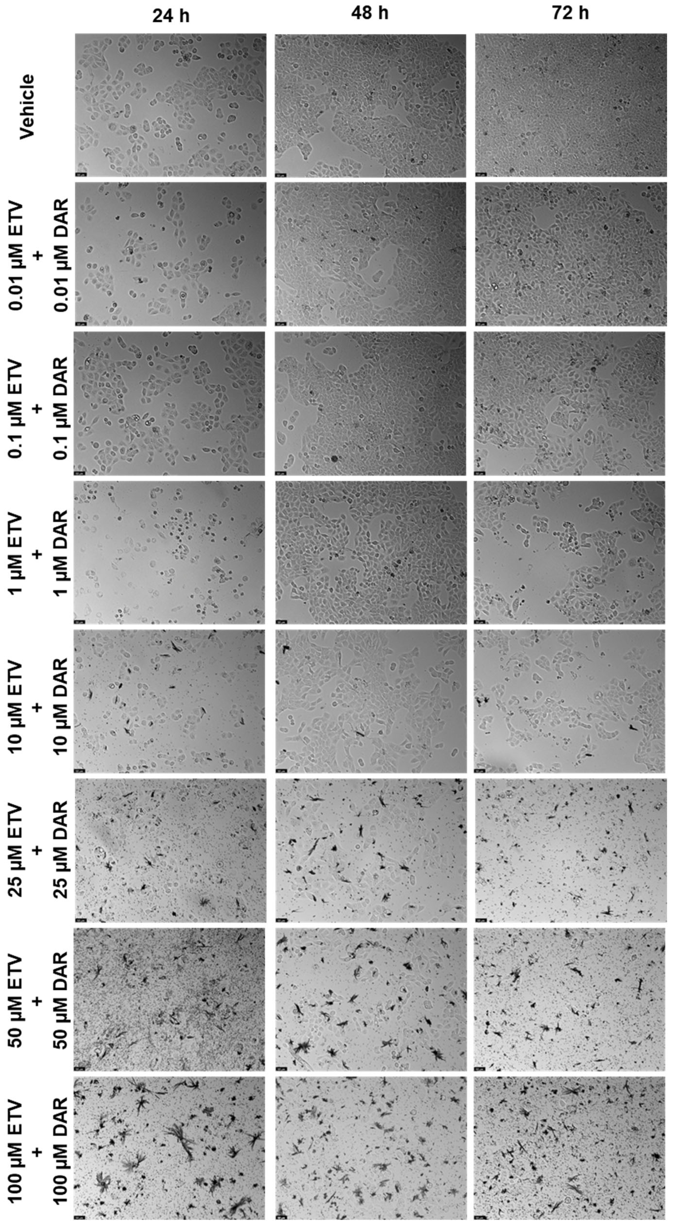 Biomedicines 12 00647 g016