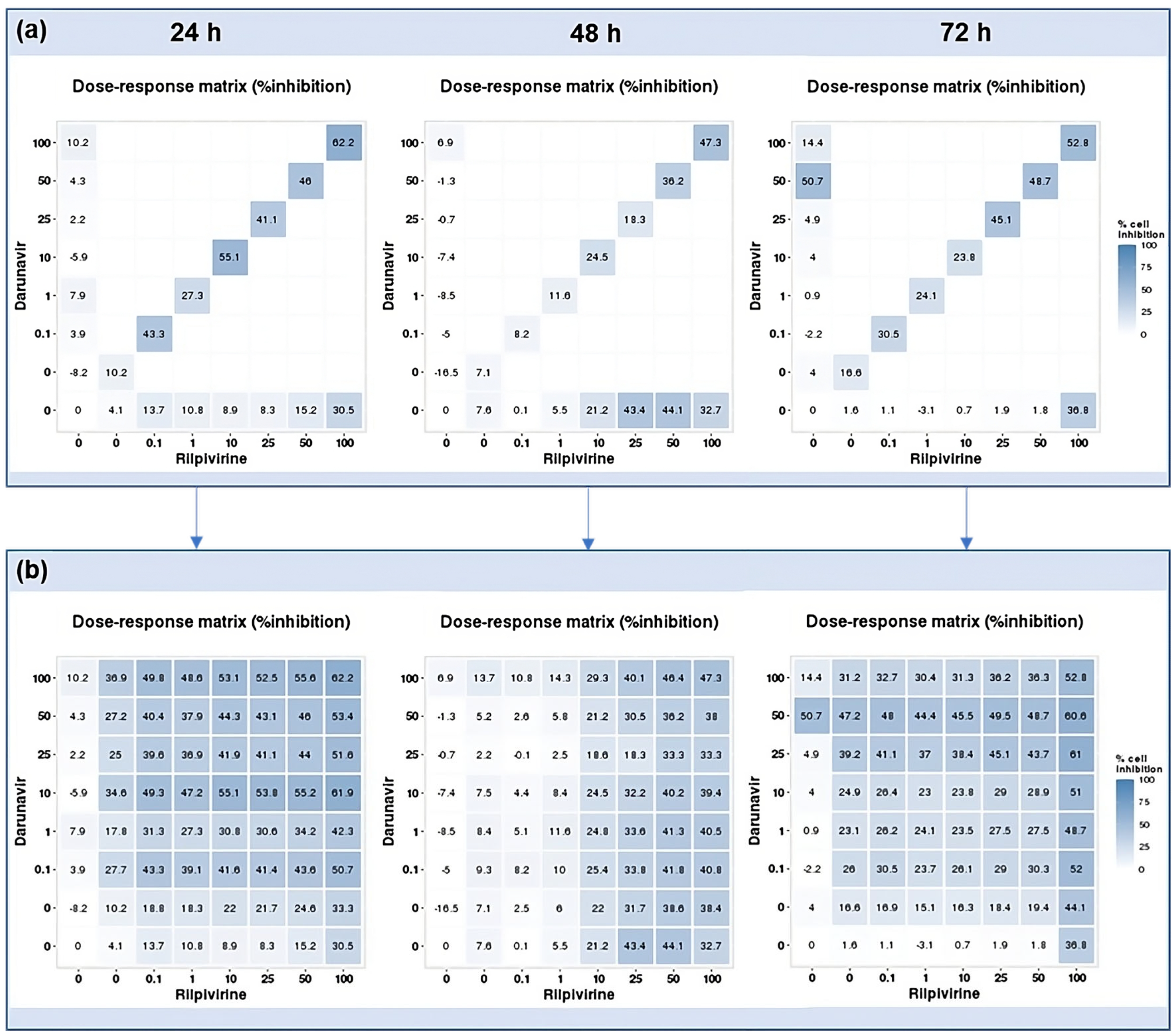Biomedicines 12 00647 g017