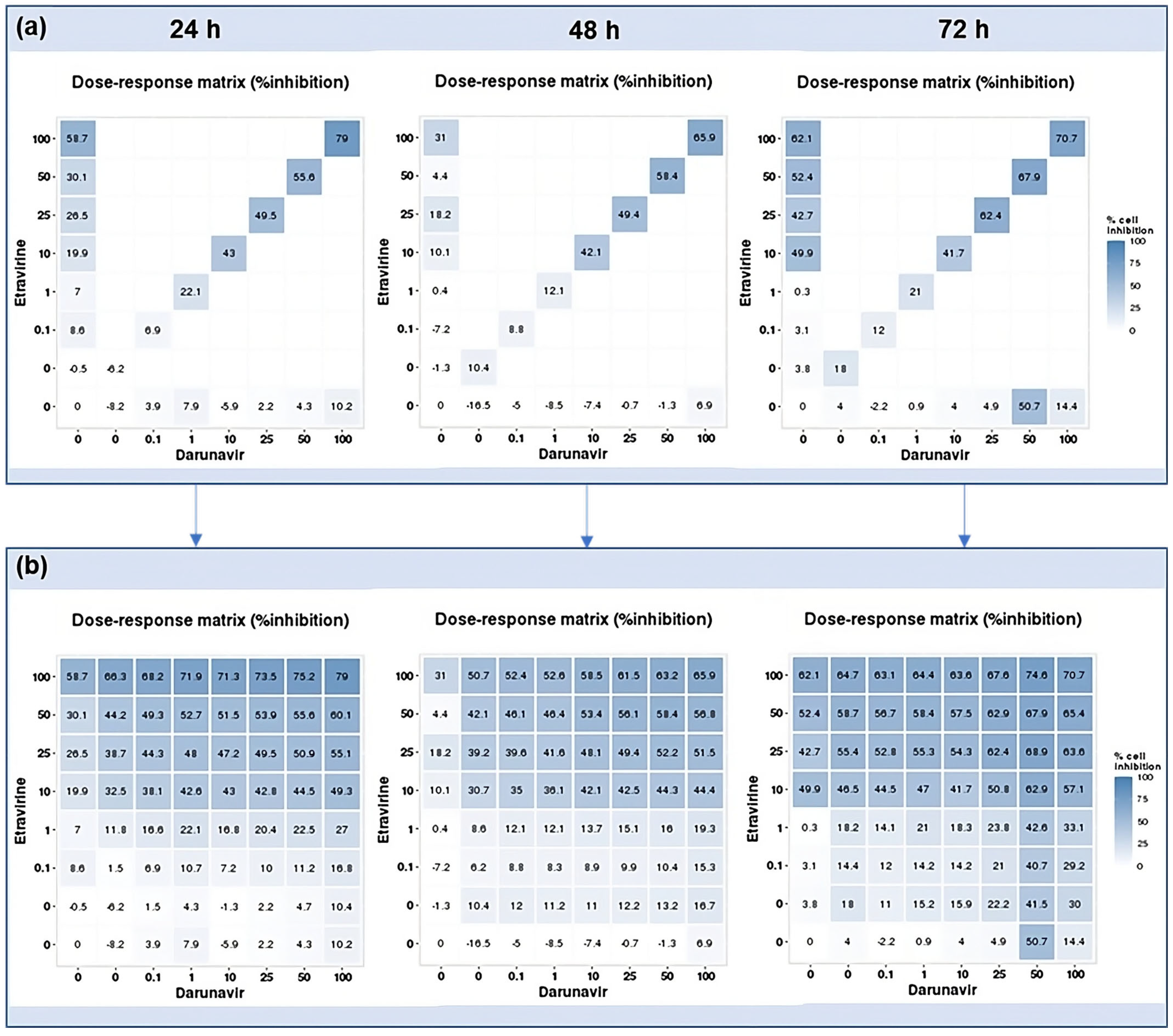Biomedicines 12 00647 g019