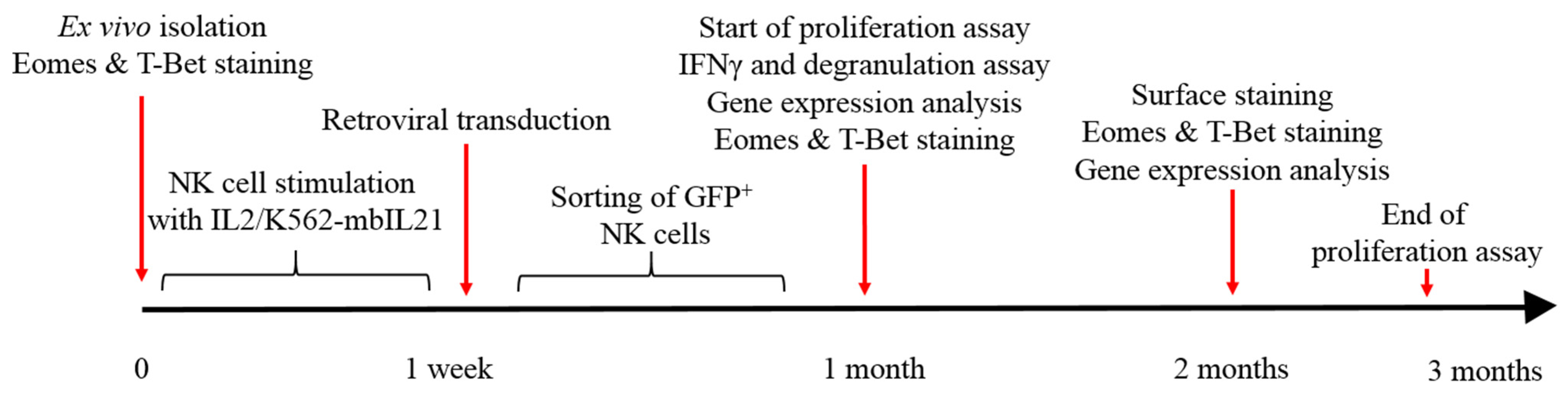 Biomedicines 12 00650 g001