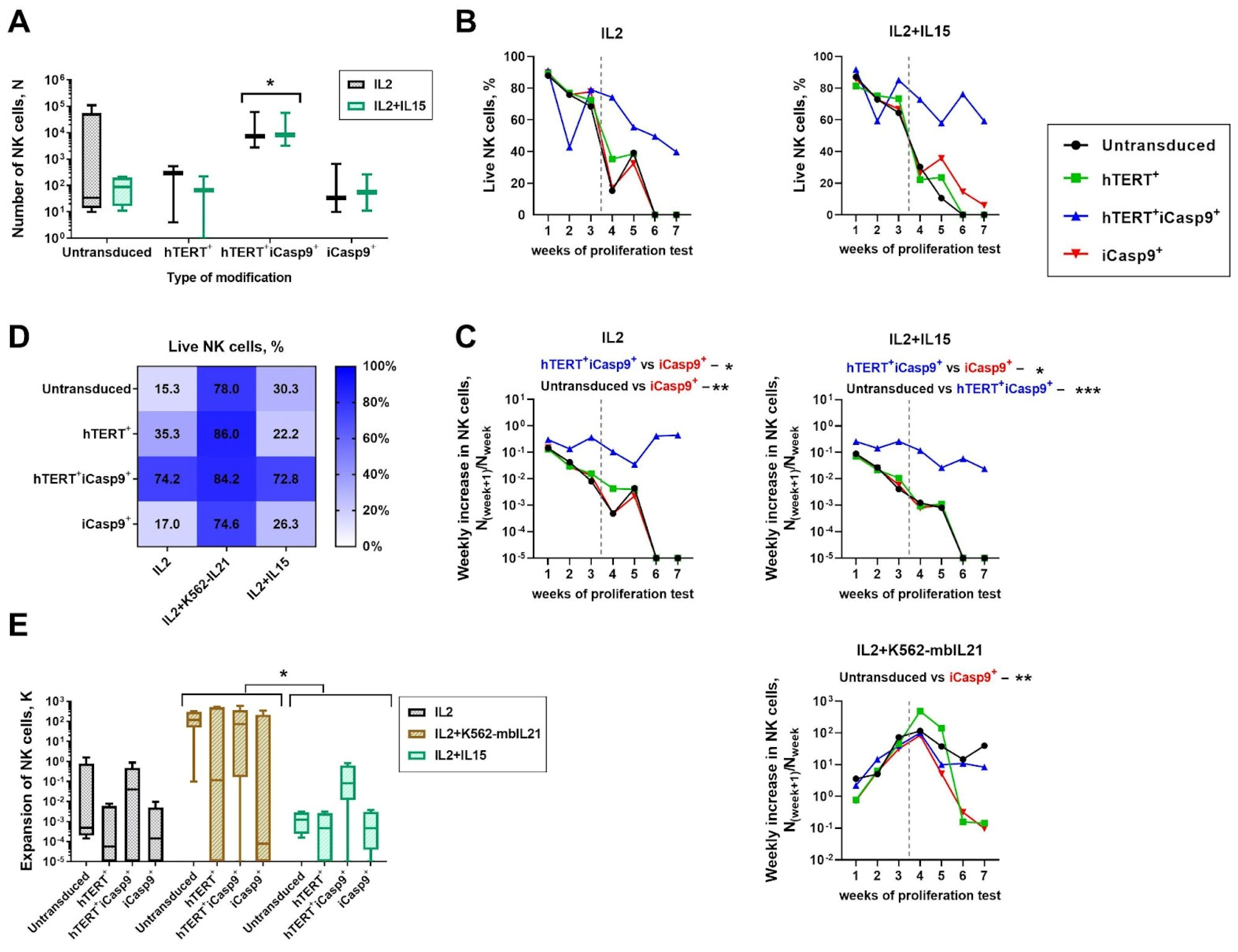 Biomedicines 12 00650 g003