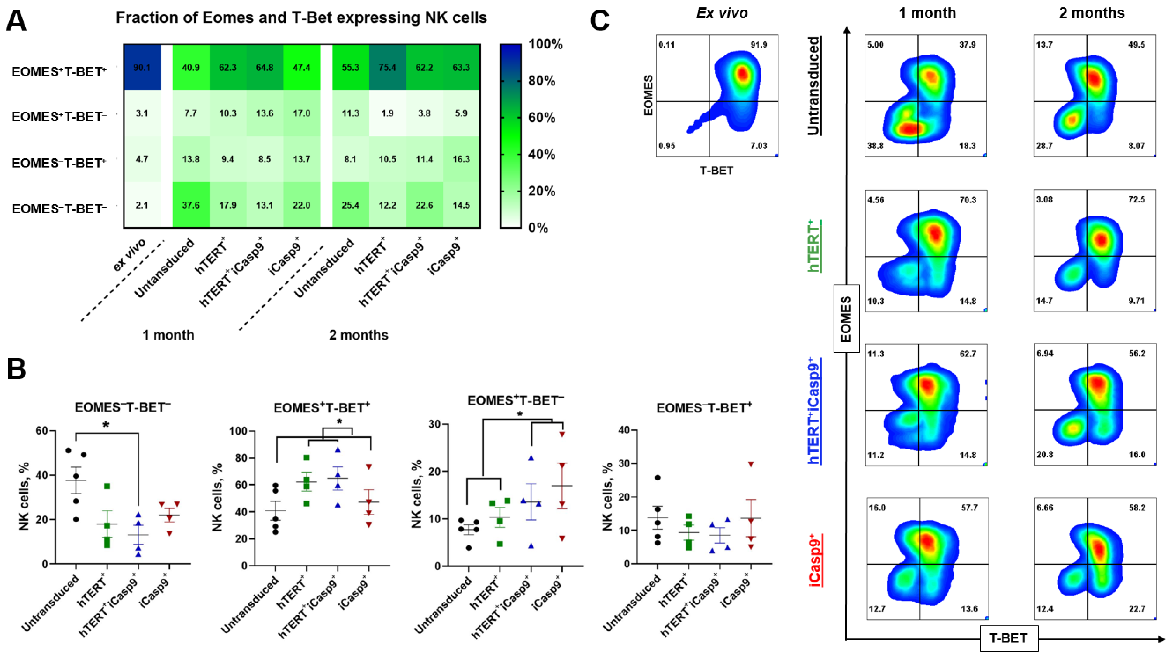 Biomedicines 12 00650 g004