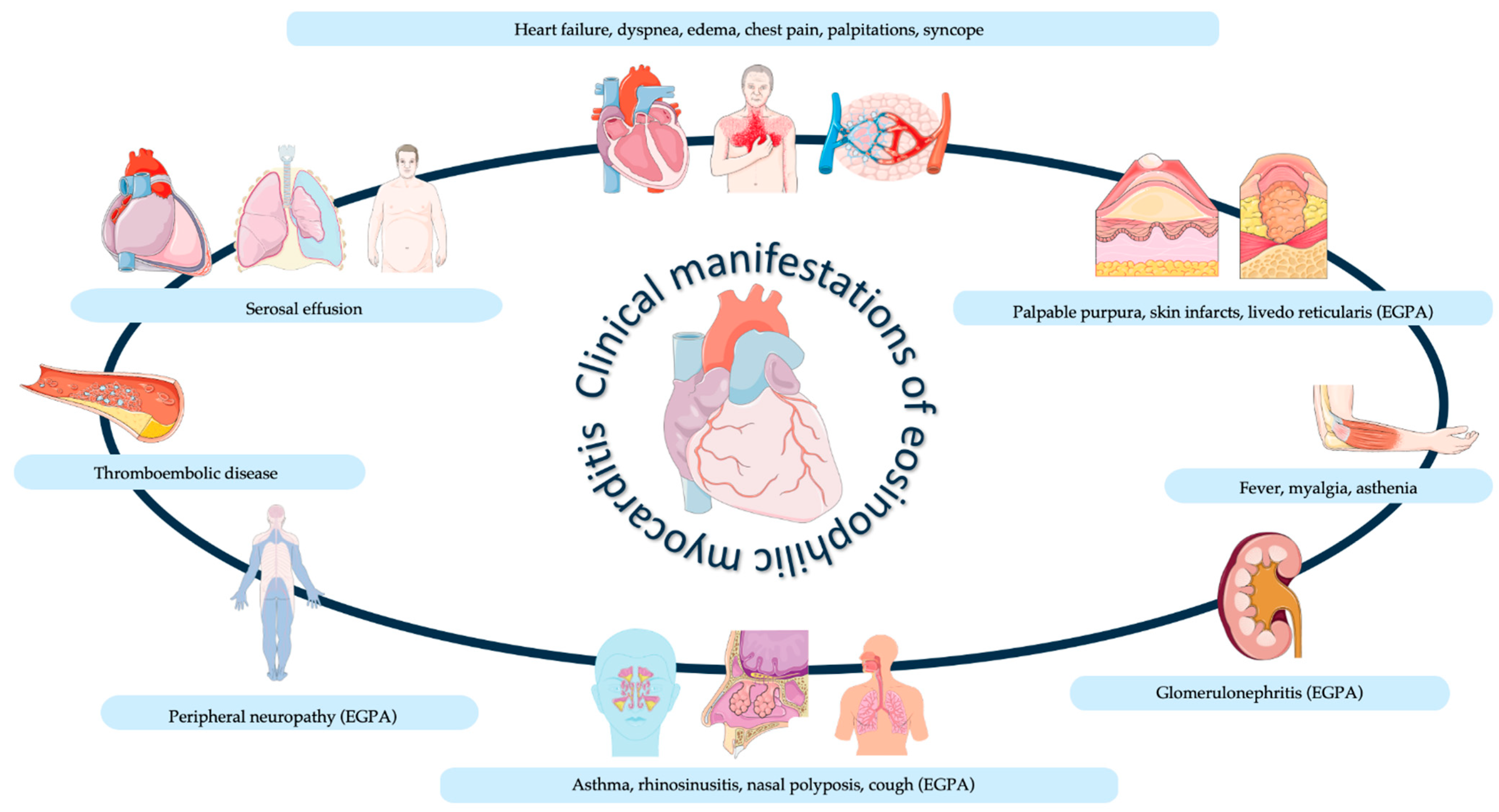 Biomedicines 12 00656 g002 Biomedicines 12 00656 g002