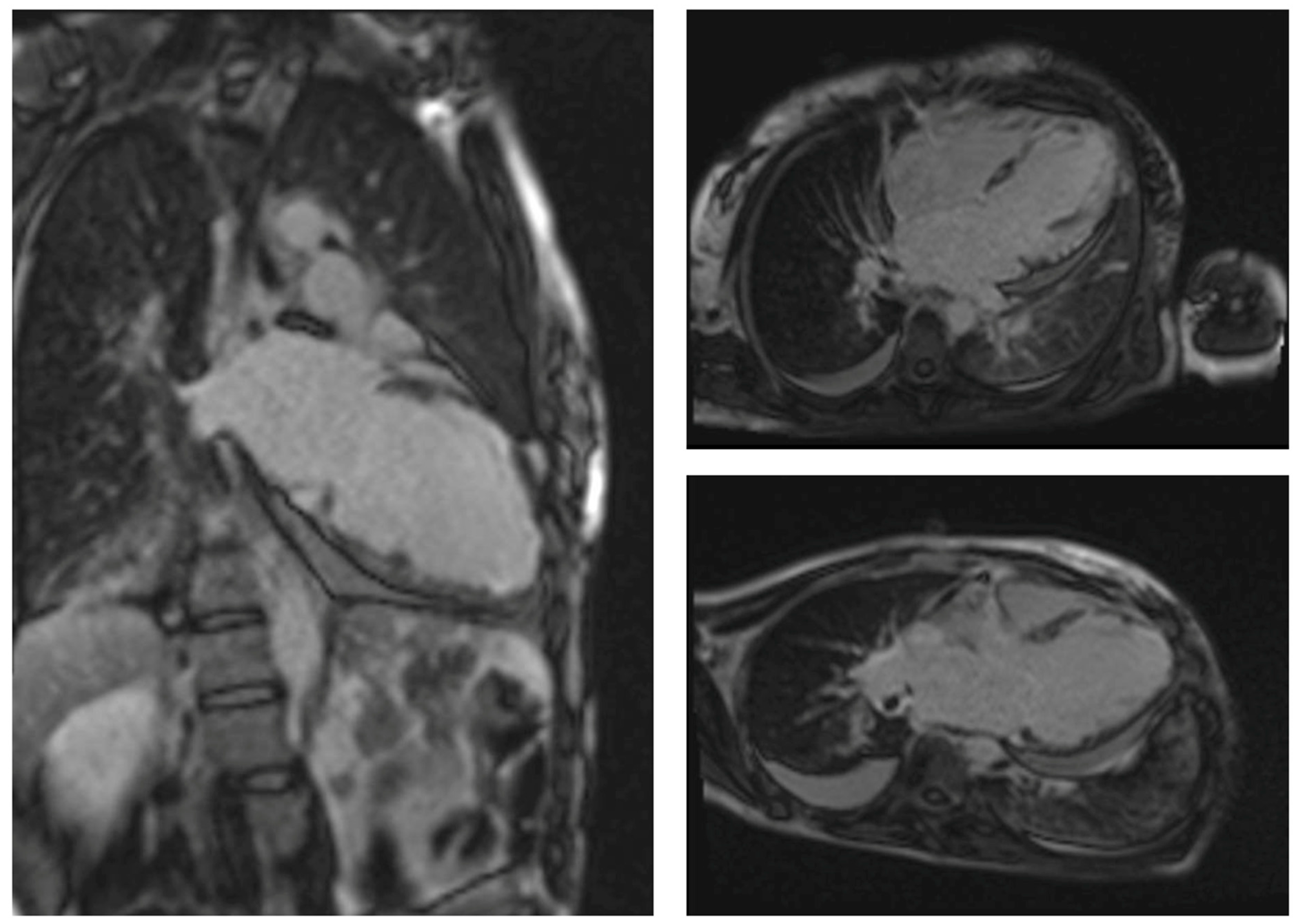 Biomedicines 12 00656 g003 Biomedicines 12 00656 g003