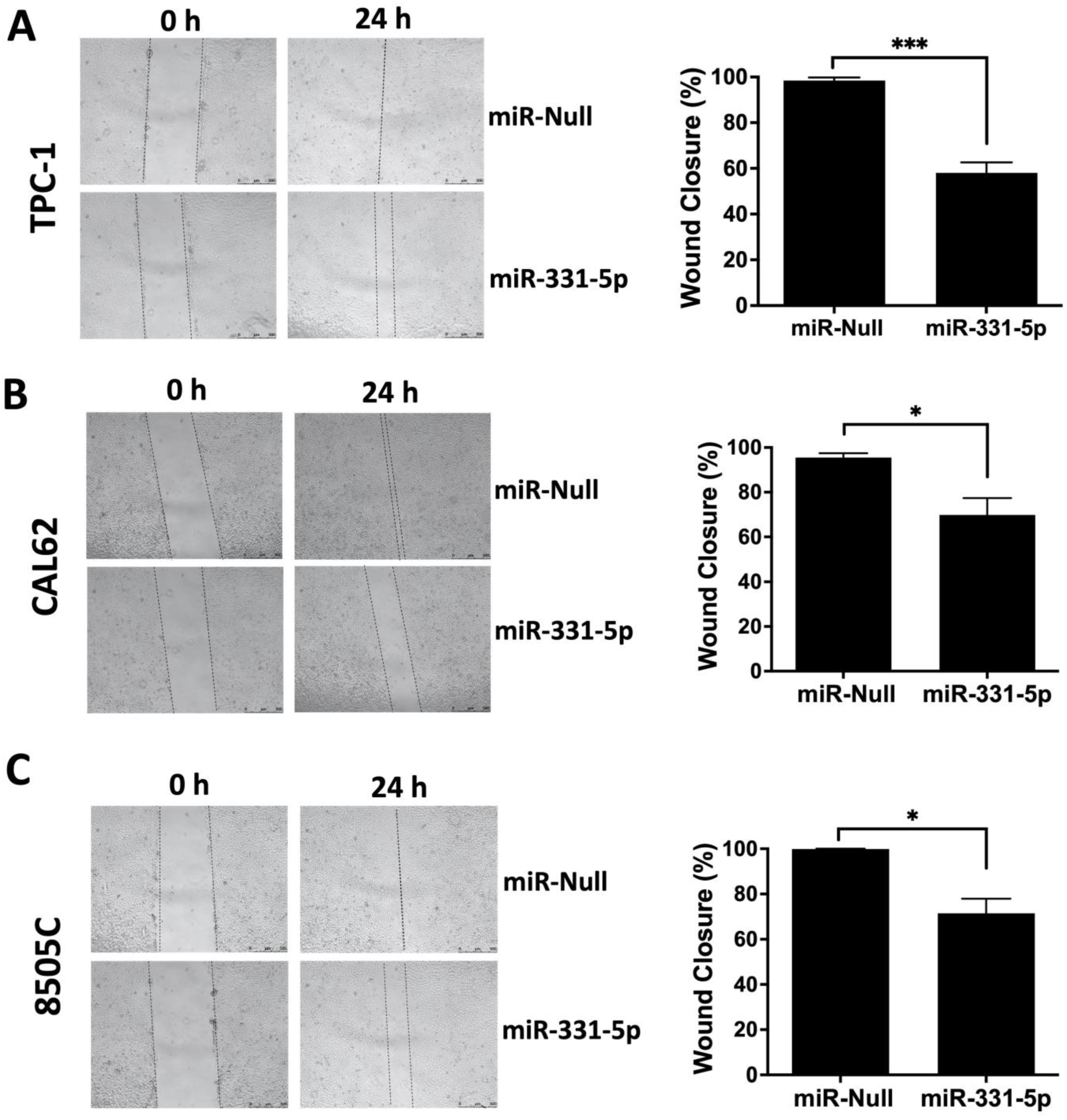 Biomedicines 12 00658 g001 Biomedicines 12 00658 g001
