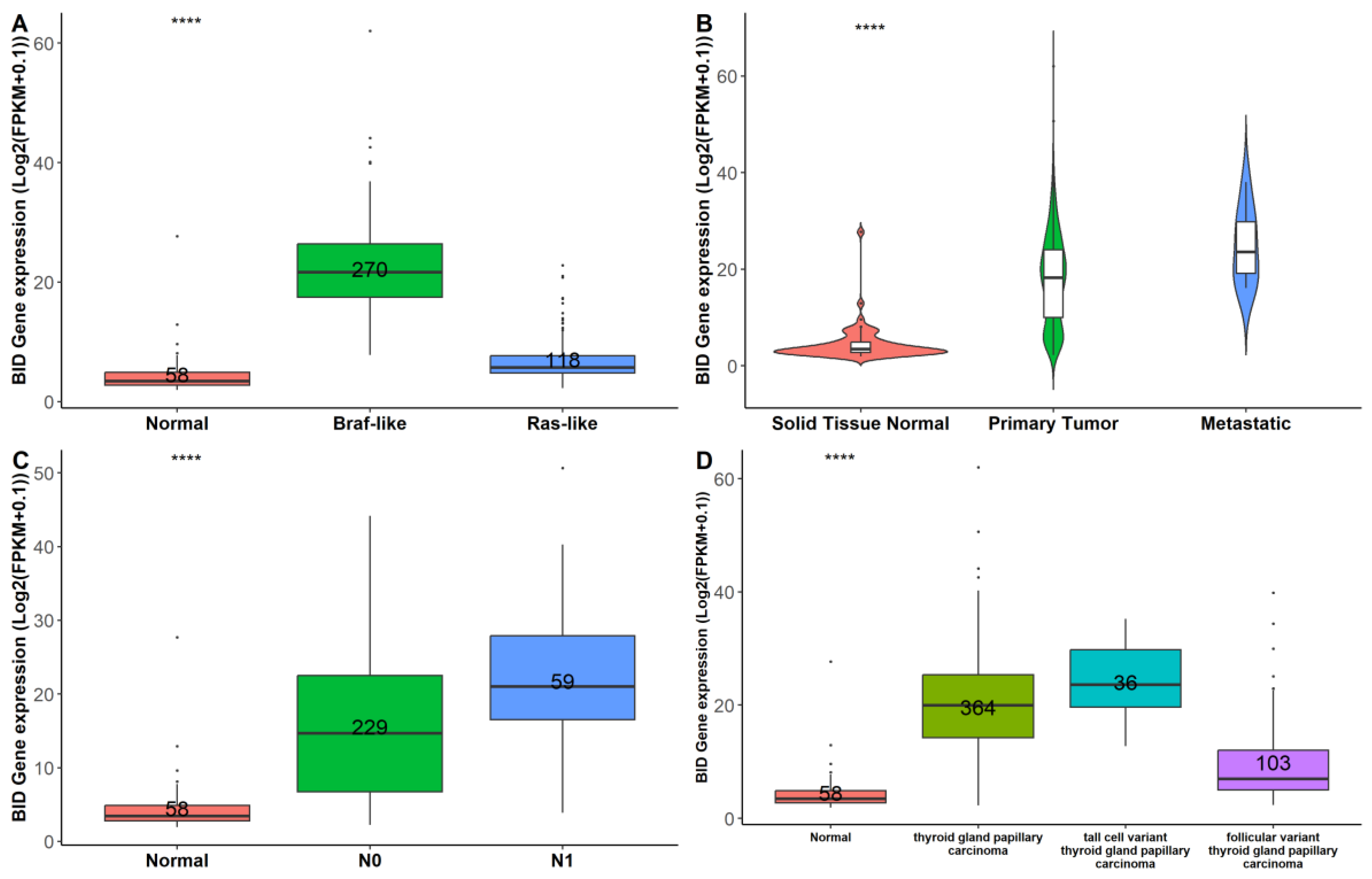 Biomedicines 12 00658 g005 Biomedicines 12 00658 g005