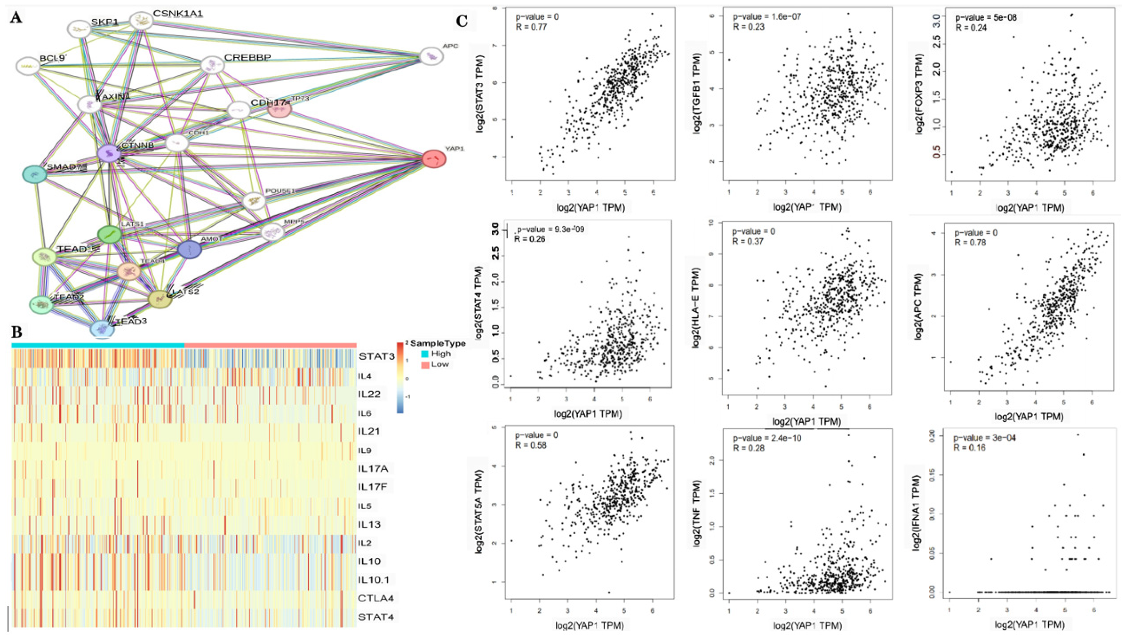 Biomedicines 12 00661 g006