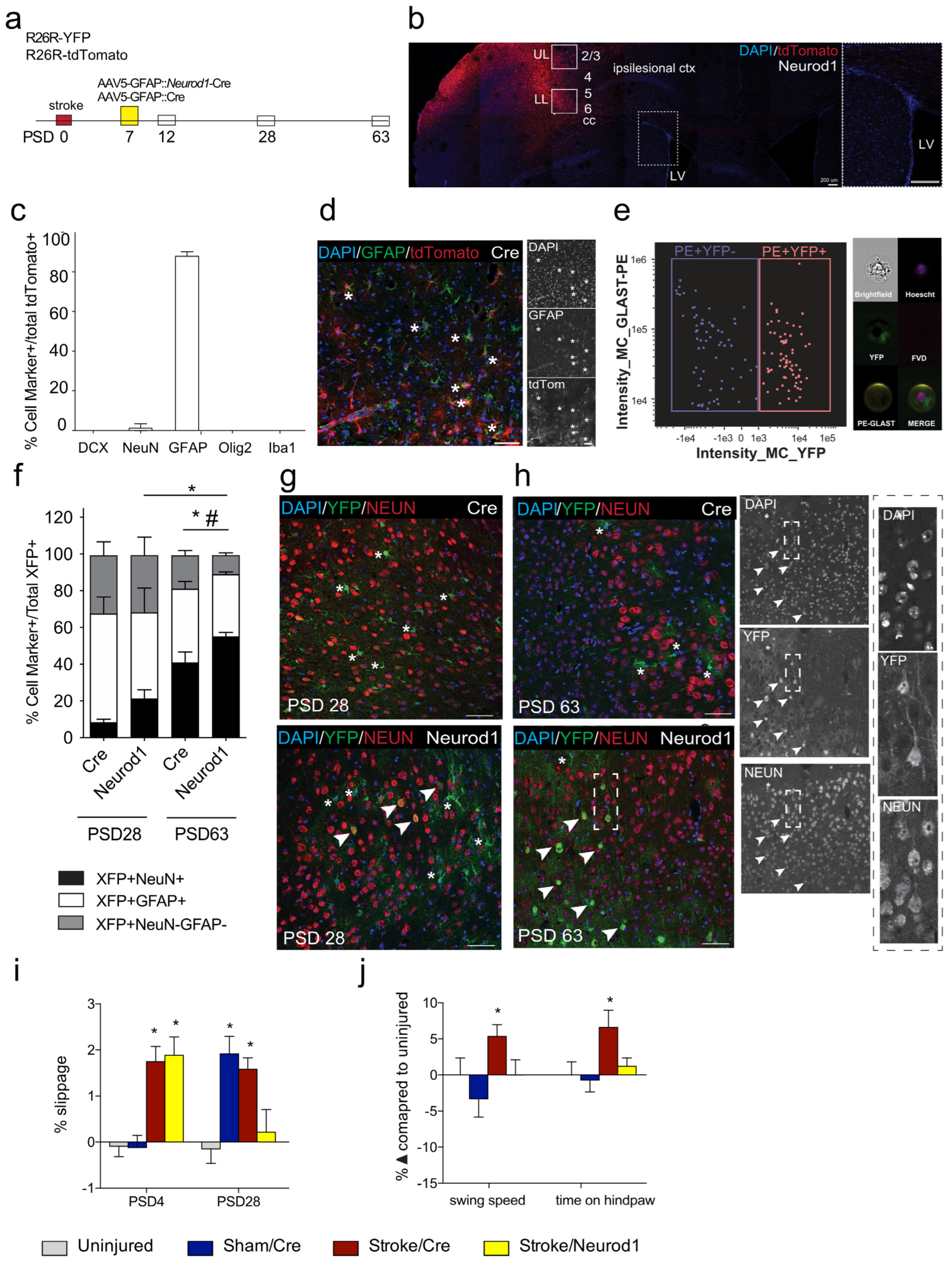 Biomedicines 12 00663 g001