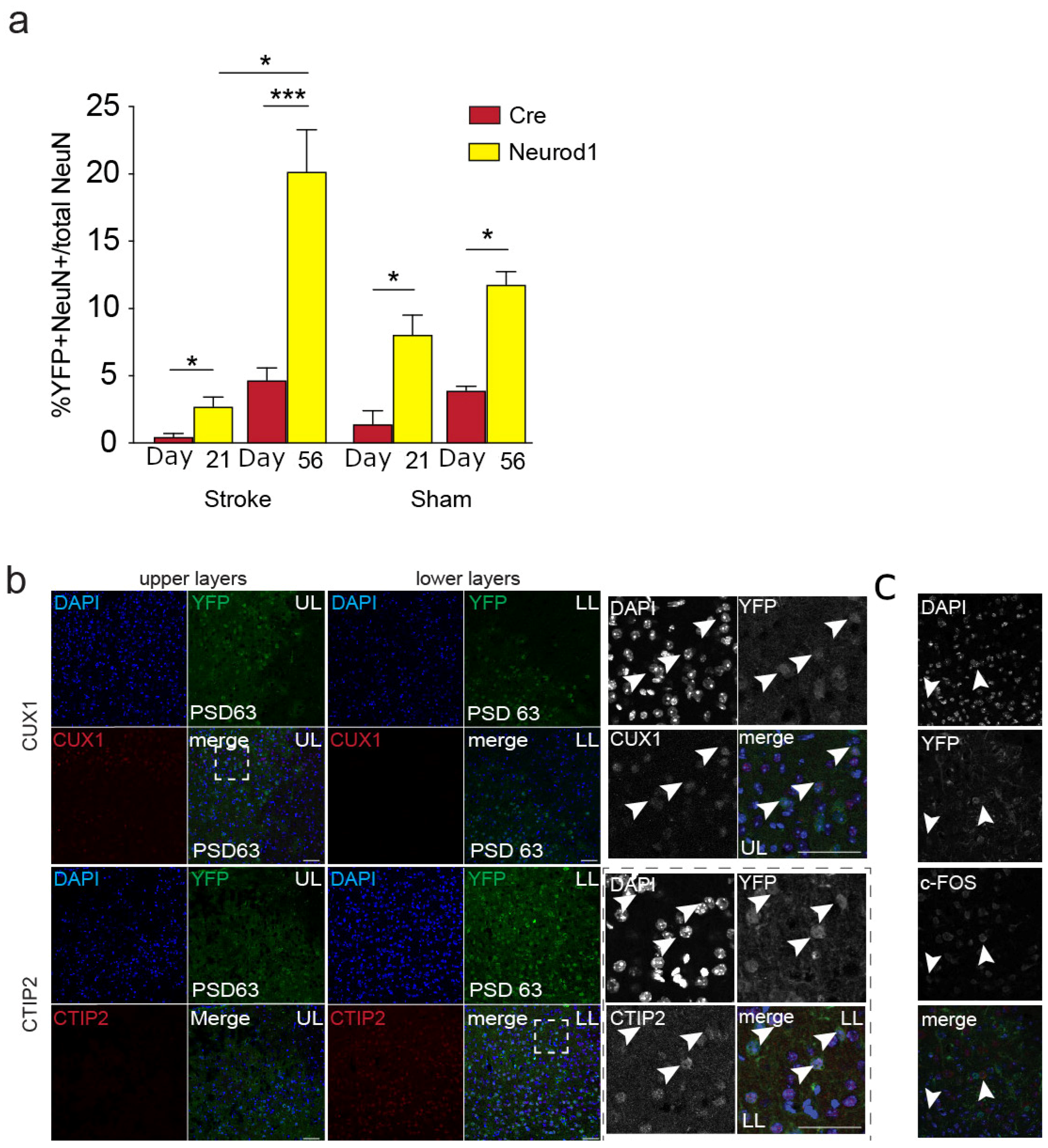 Biomedicines 12 00663 g002